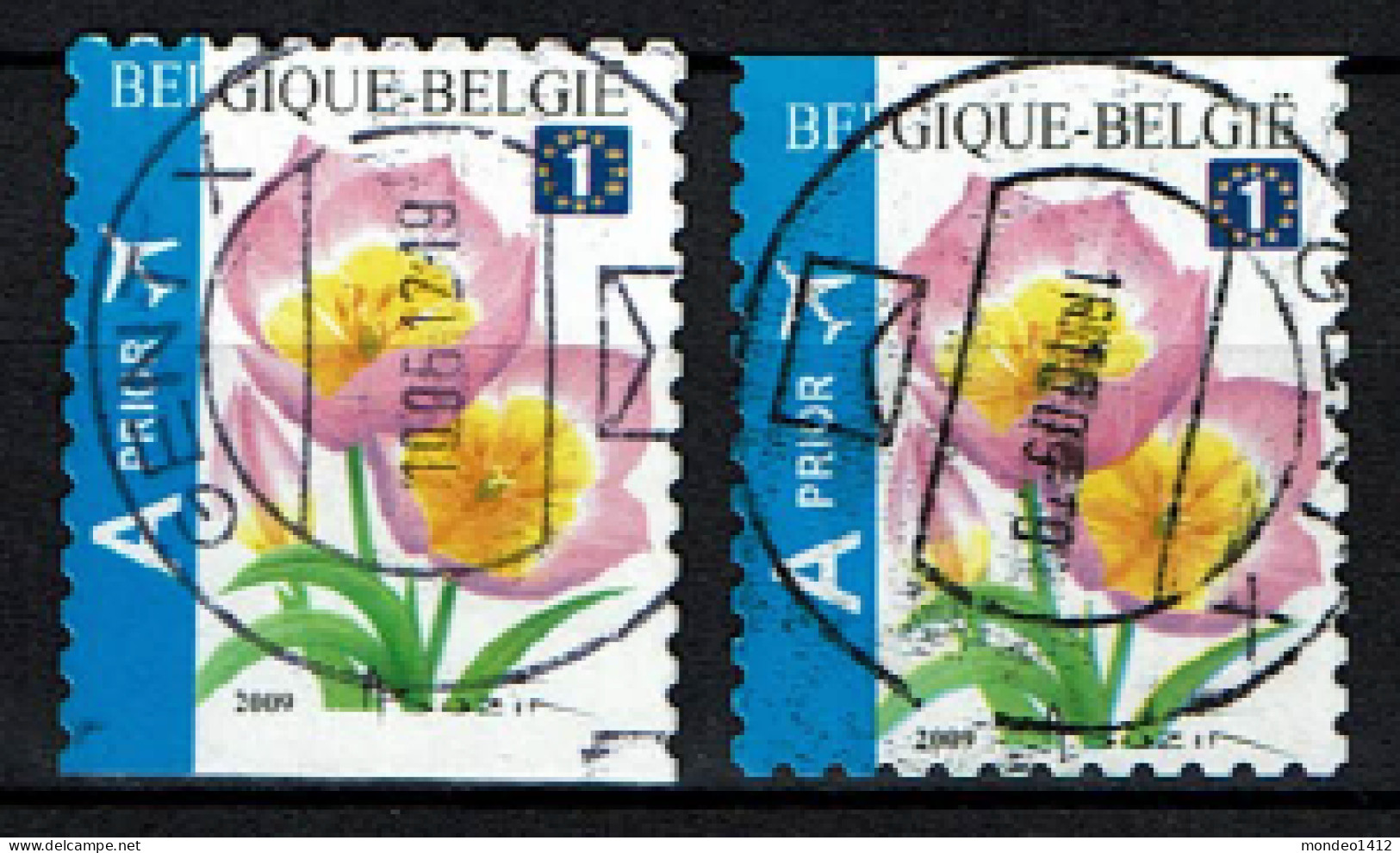 België OBP 3872 - Bloemen, Fleurs, Tulipa Bakari, Prior Europe - Used Stamps