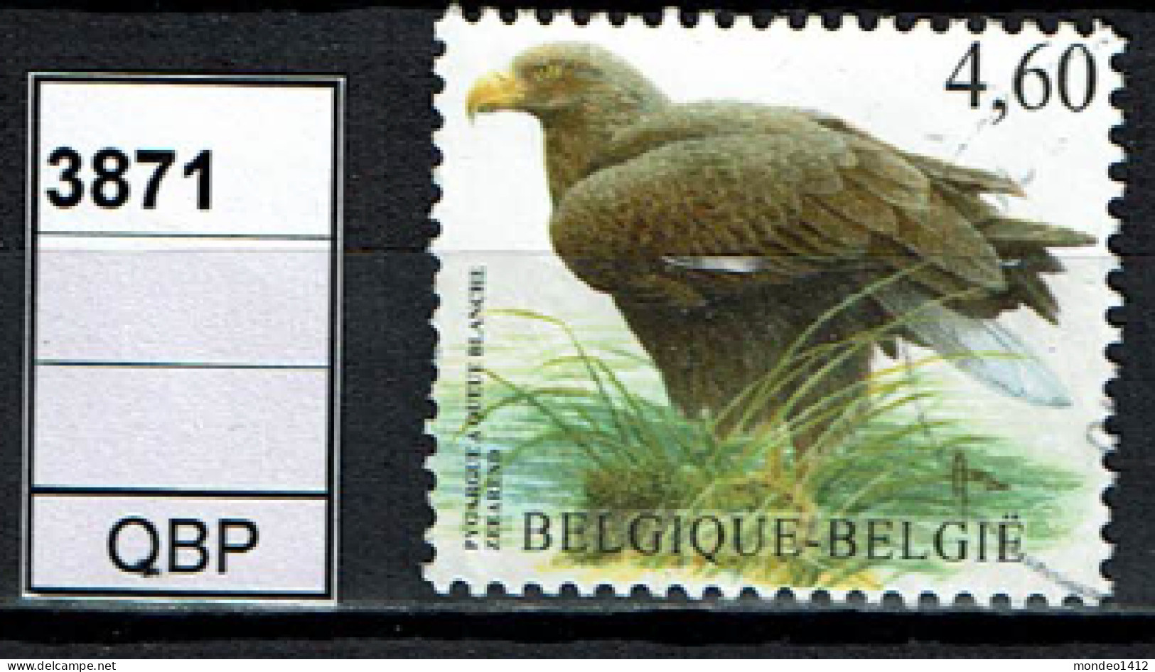 België OBP 3871 - Vogel, Oiseaux, Zeearend, Pyrargue à Queue Blanche - Usados