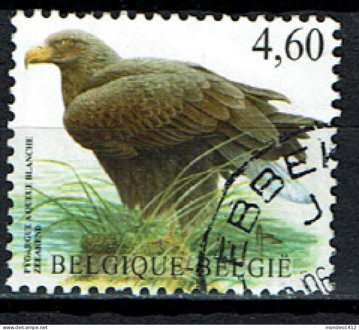 België OBP 3871 - Vogel, Oiseaux, Zeearend, Pyrargue à Queue Blanche - Gebruikt