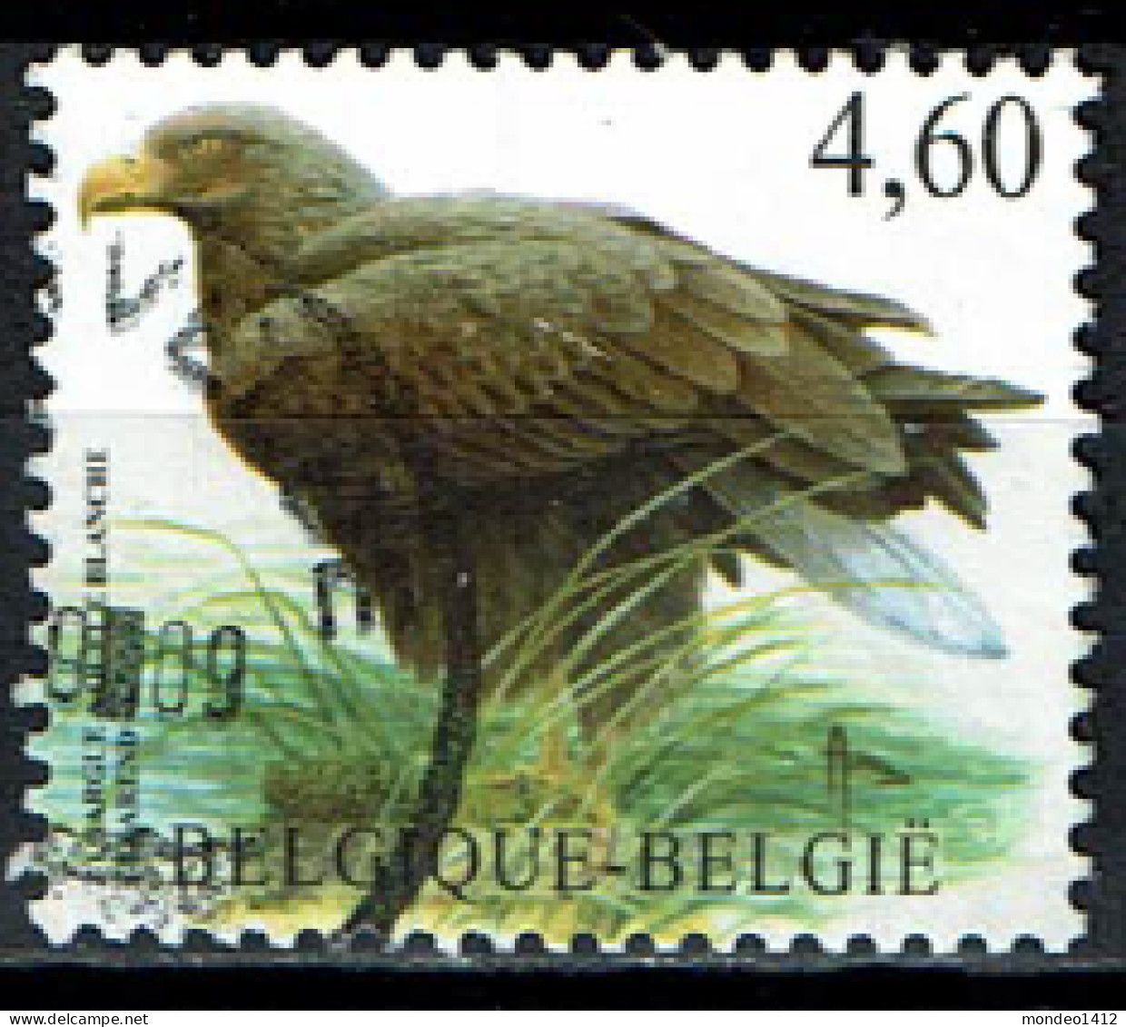 België OBP 3871 - Vogel, Oiseaux, Zeearend, Pyrargue à Queue Blanche - Gebraucht