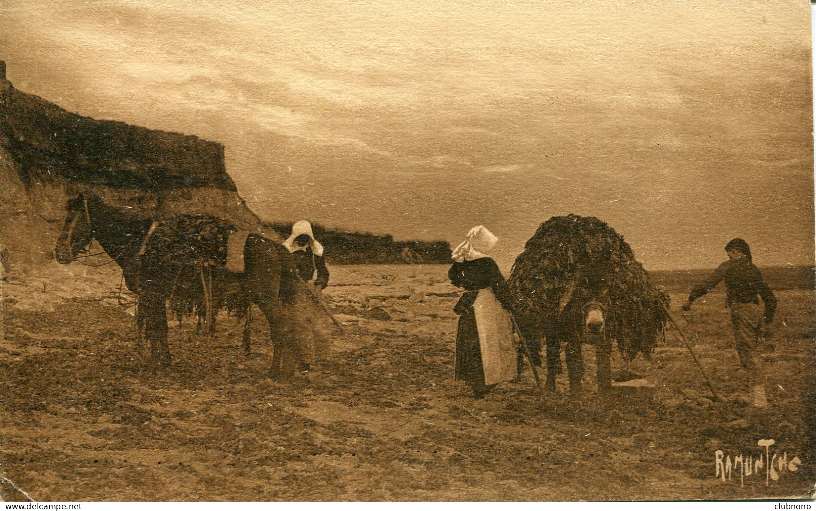 CPA -  ILE D'OLERON -  RECOLTE DU VARECH - Ile D'Oléron