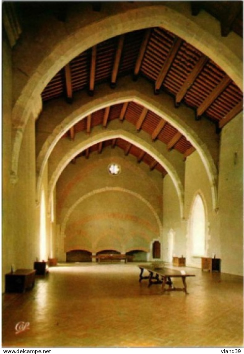 PERPIGNAN. -  Palais Des Rois De Majorque : La Salle De Majorque. XIVe    -   Non Circulée - Perpignan