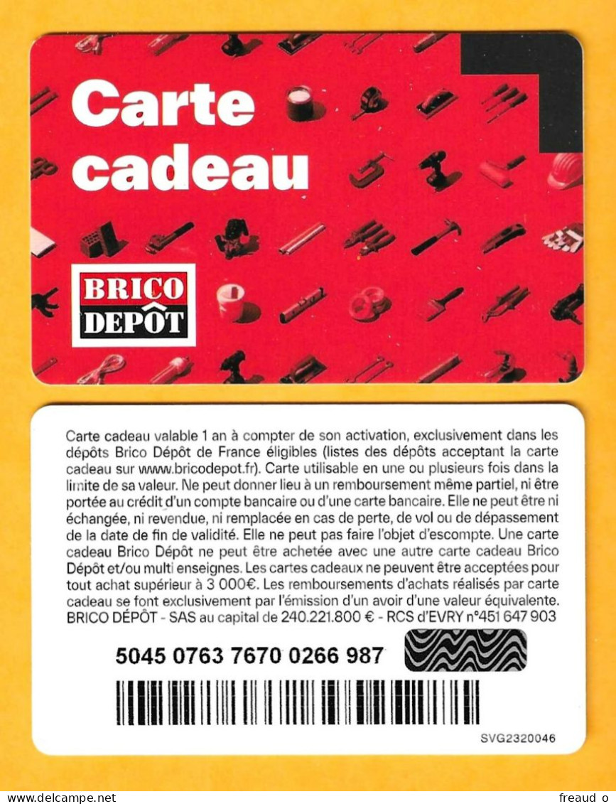 Carte Cadeau BRICO DEPÔT - - Cartes Cadeaux