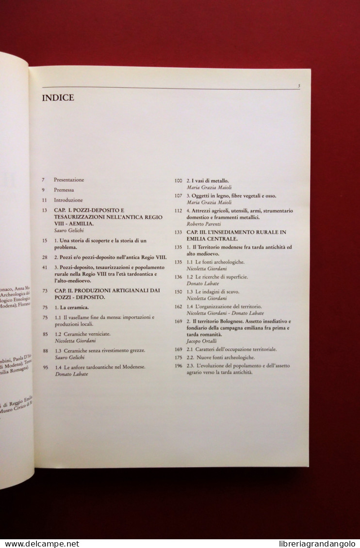 Il Tesoro Nel Pozzo Pozzi Deposito E Tesaurizzazioni Panini Modena 1994 Ottimo - Non Classés