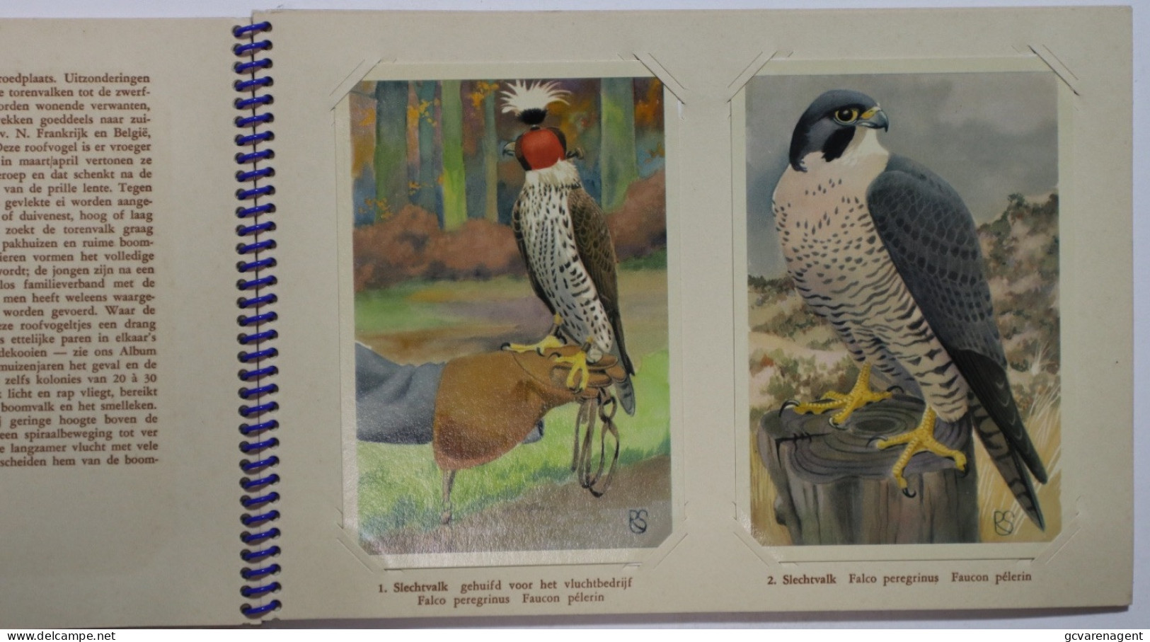 ROOFVOGELS  N° 9  - BOEK MET INGESTOKEN KAARTEN.  25 X 17 CM    MOOIE STAAT  ZIE AFBEELDINGEN - Andere & Zonder Classificatie