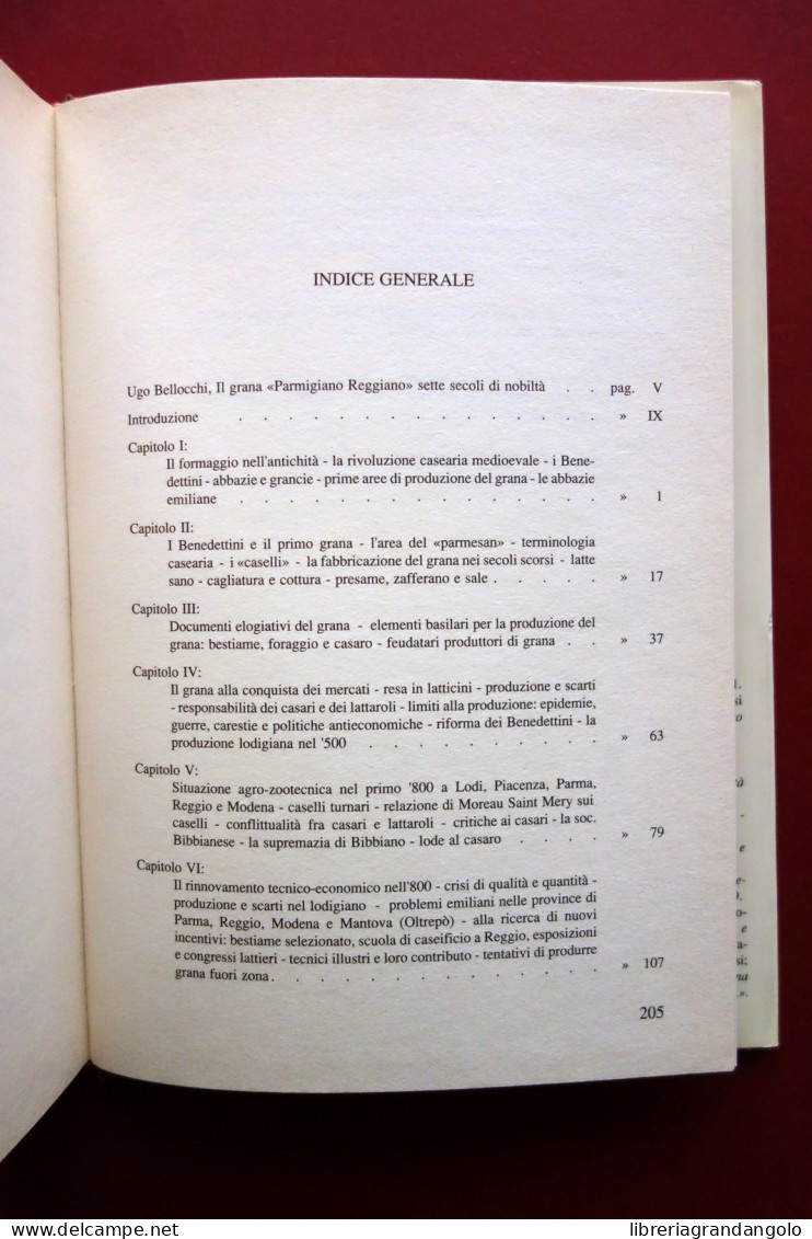 Storia Del Formaggio Di Grana Parmigiano Reggiano Iotti Aedes Muratoriana 1991 - Sin Clasificación