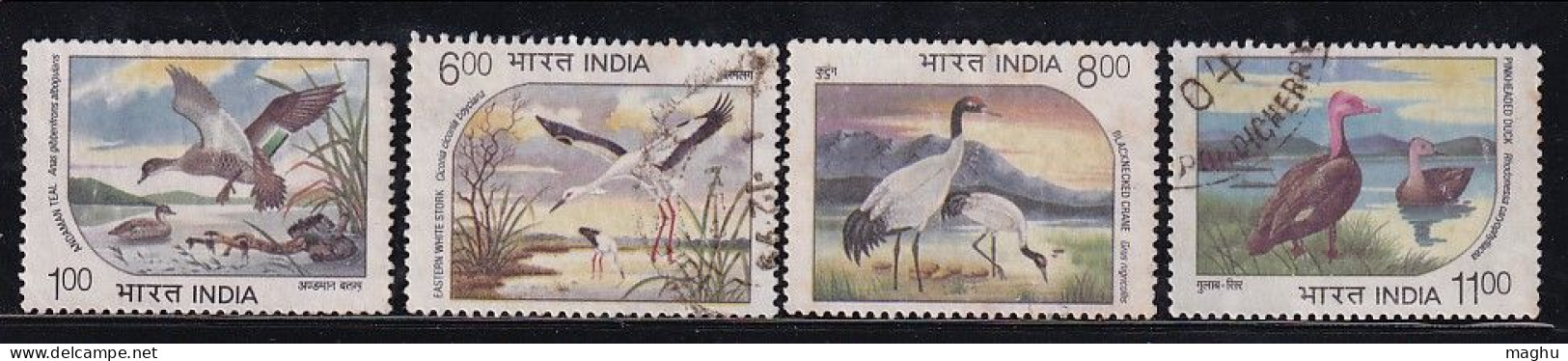 India Postal Used Water Birds 1994, Set Of 4, Bird, White Stork, Teal, Duck, Crane - Usati