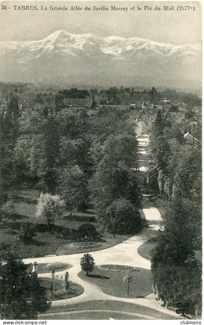 CPA - TARBES - LA GRANDE ALLEE DU JARDIN MASSEY ET LE PIC DU MIDI - Tarbes