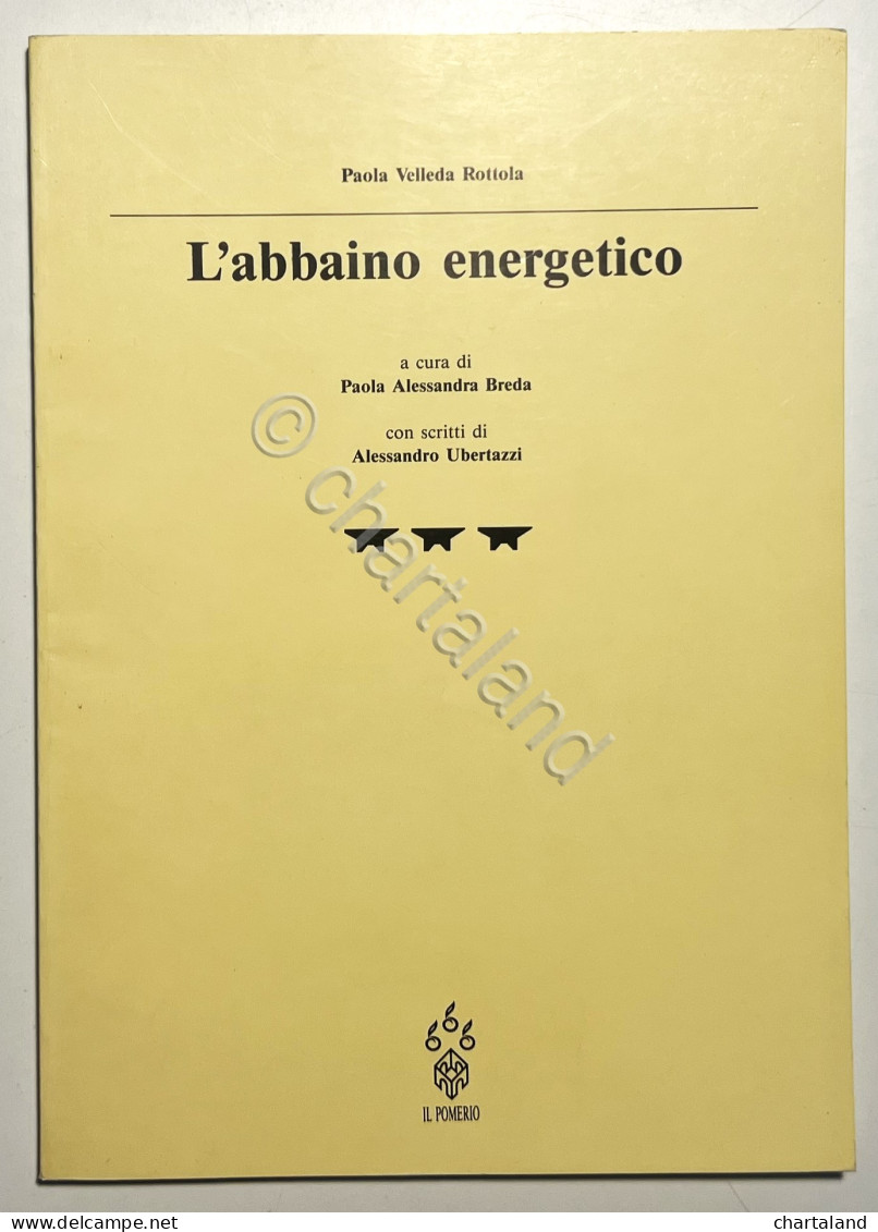 P. Velleda Rottola - L'abbaino Energetico - Ed. 1993 - Sonstige & Ohne Zuordnung