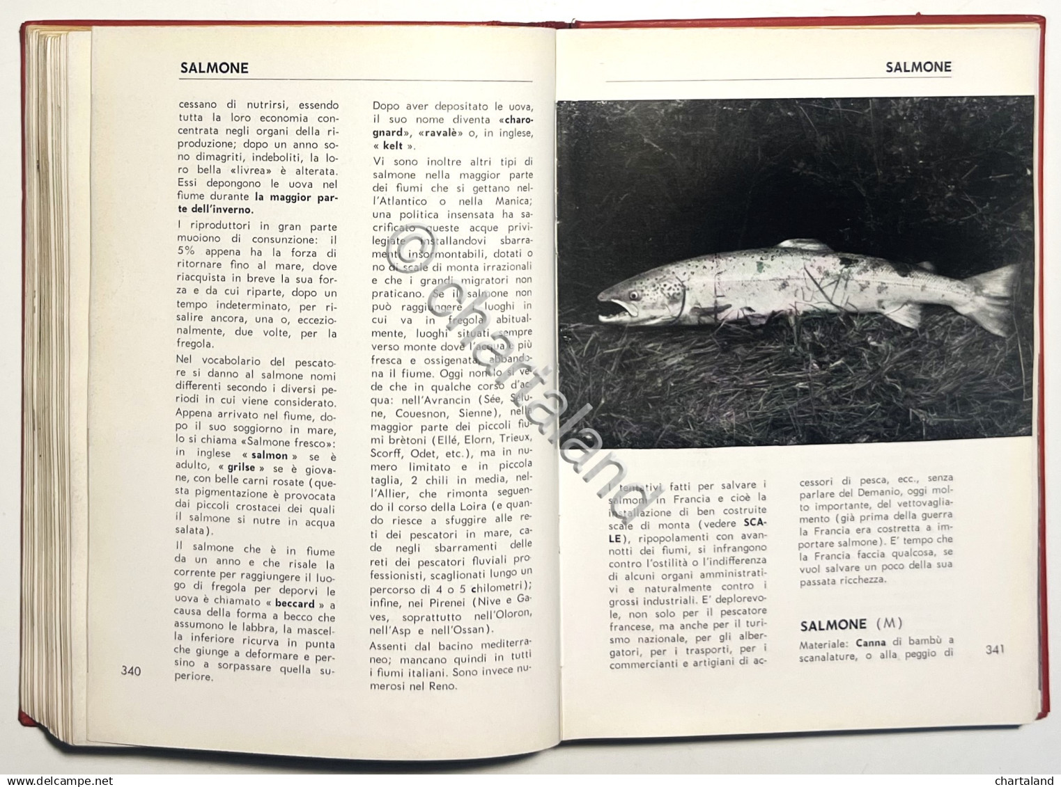 Pesca - T. Burnard E P. Barbellion - La Mosca: Il Lancio Leggero - Ed. 1962 - Autres & Non Classés