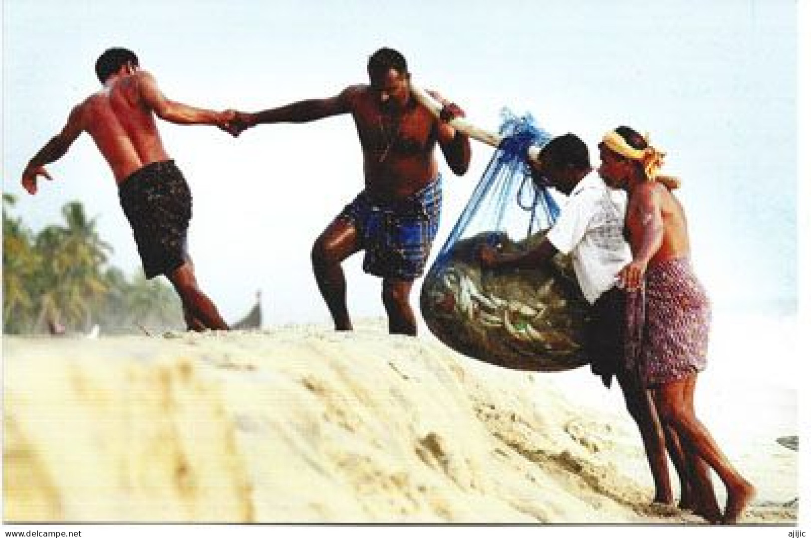 Return From Fishing From The Beach. Marari Beach ,Alappuzha, State Of Kerala. Postcard - Inde