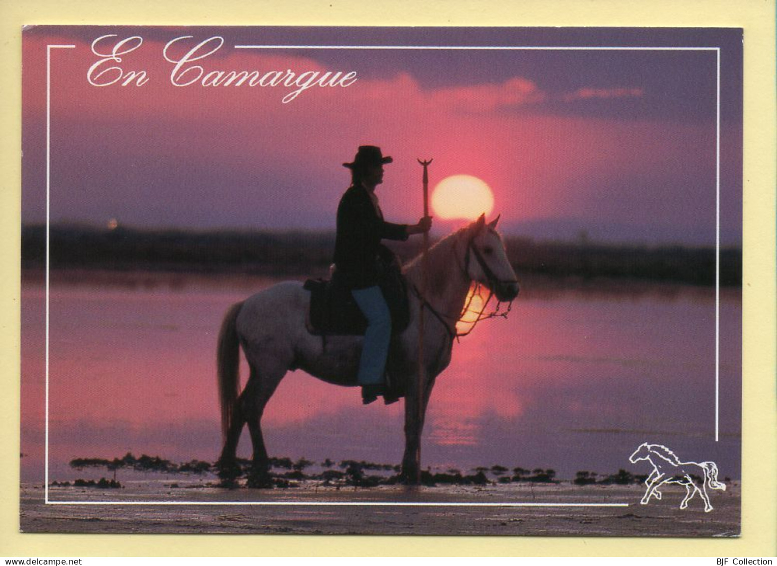 Chevaux : En Camargue / Le Gardian / Coucher De Soleil (voir Scan Recto/verso) - Horses