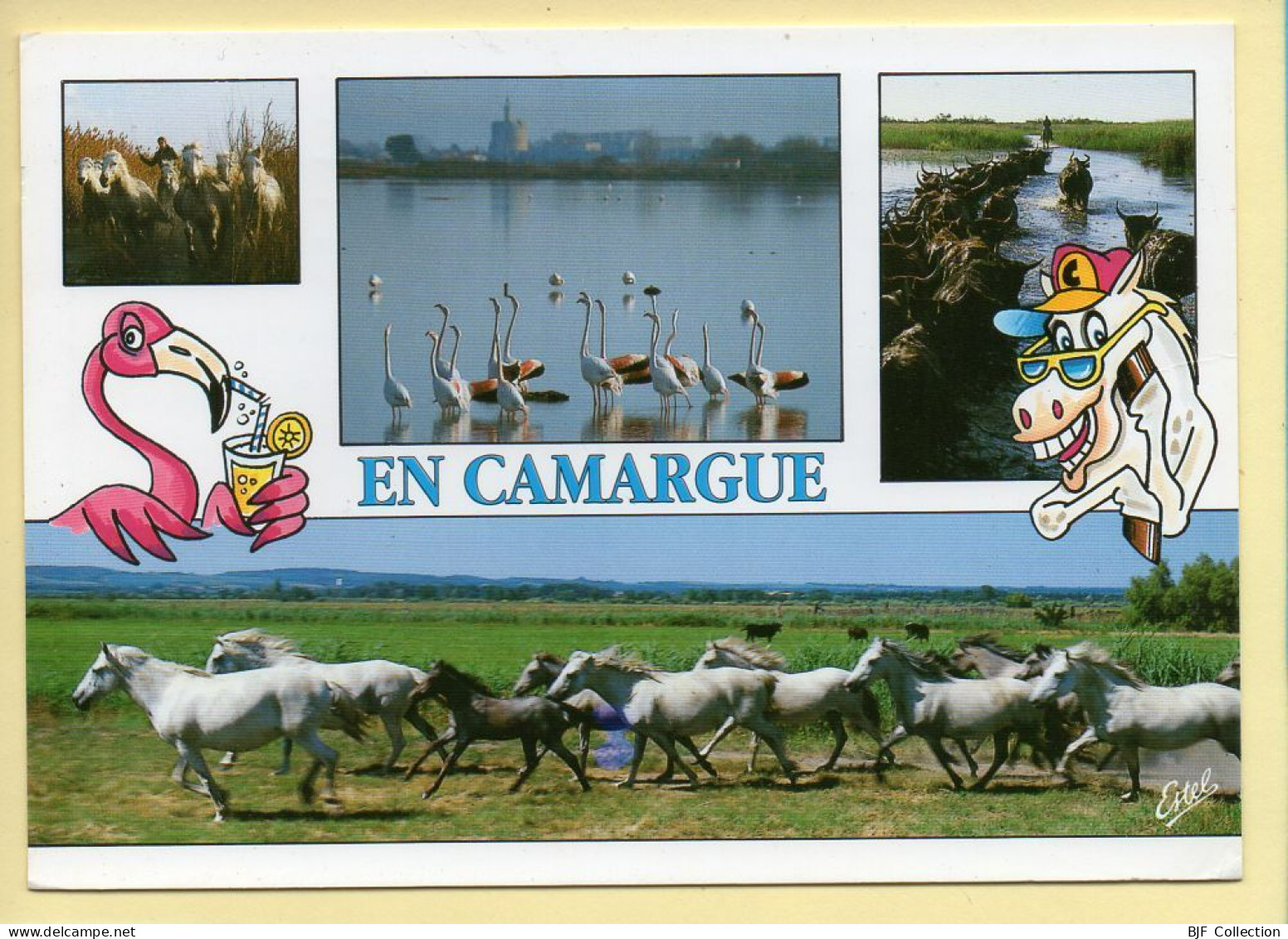 Chevaux : En Camargue / Multivues / Dessin Humoristique (voir Scan Recto/verso) - Pferde