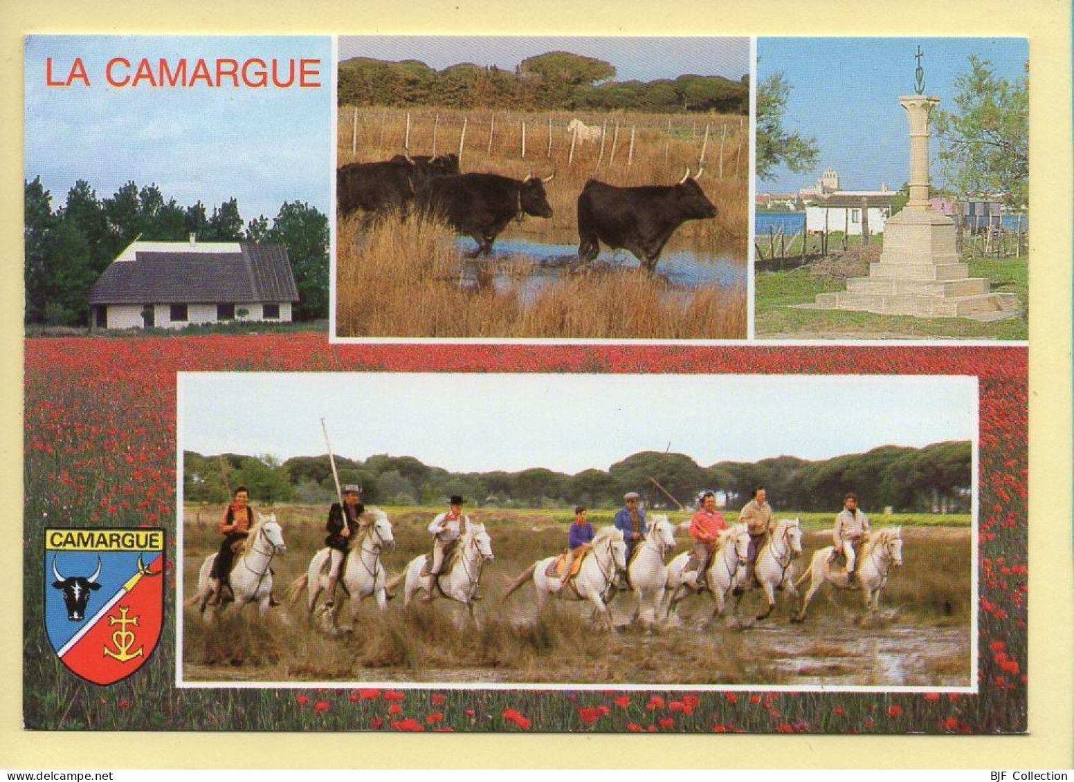 Chevaux : La Camargue / Multivues / Blason (voir Scan Recto/verso) - Caballos