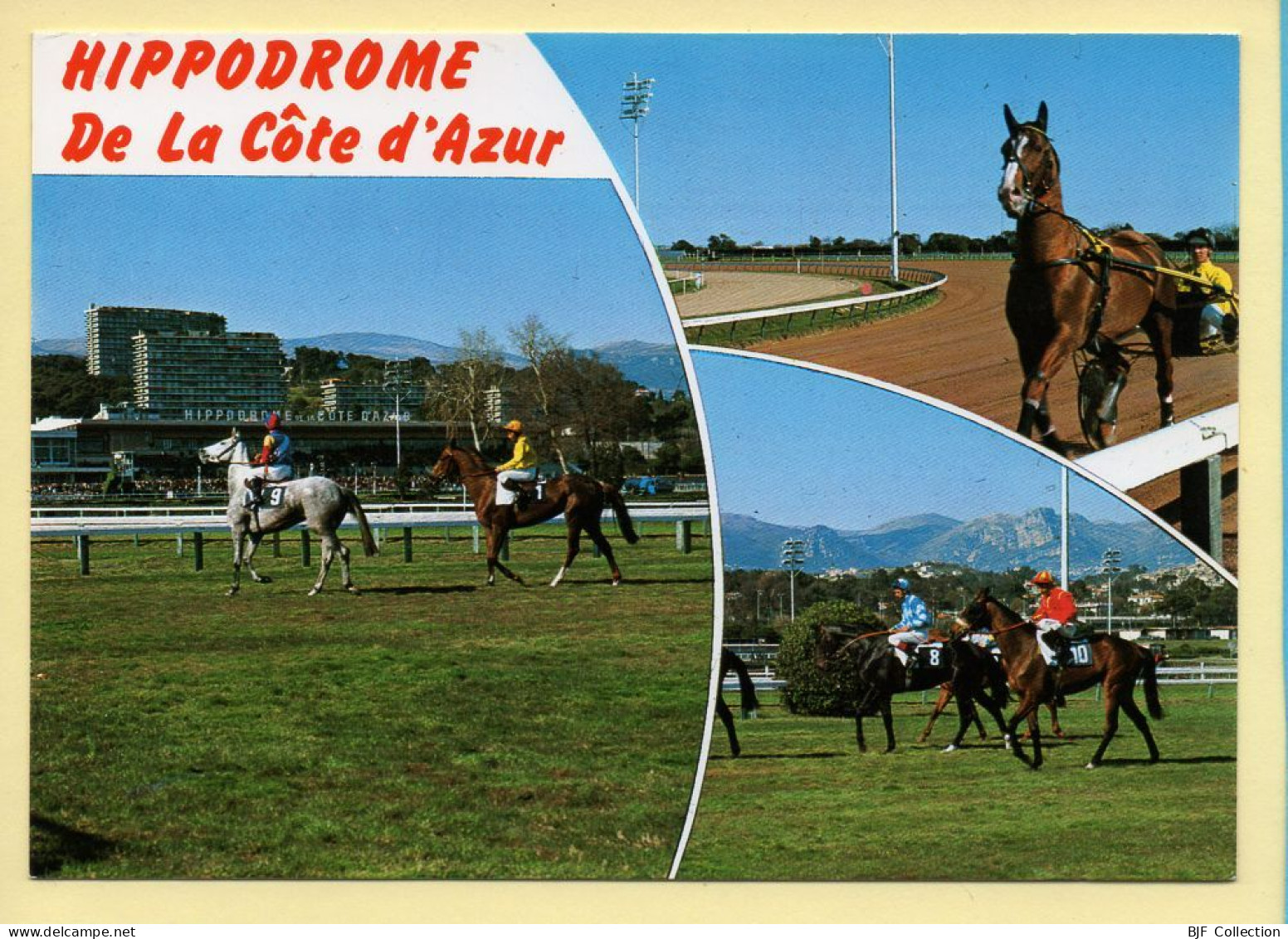 Chevaux : Hippodrome De La Côte D'Azur / 3 Vues / Cagnes-sur-Mer (voir Scan Recto/verso) - Cavalli