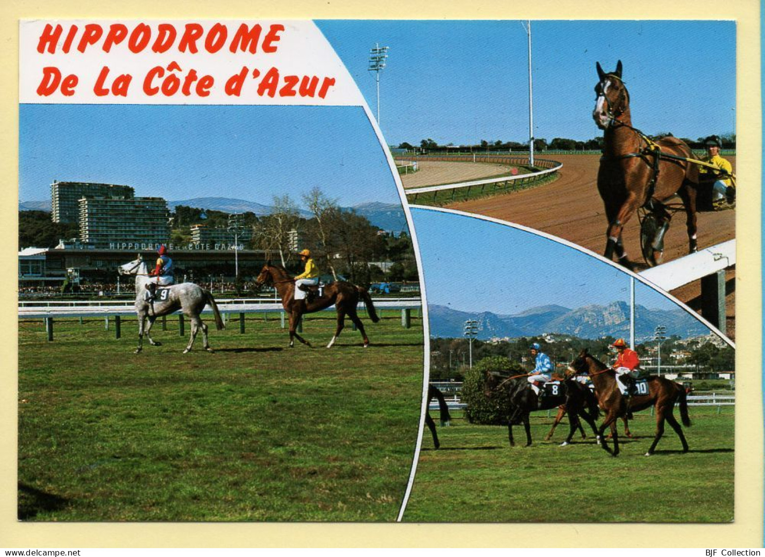 Chevaux : Hippodrome De La Côte D'Azur / 3 Vues / Cagnes-sur-Mer (voir Scan Recto/verso) - Chevaux