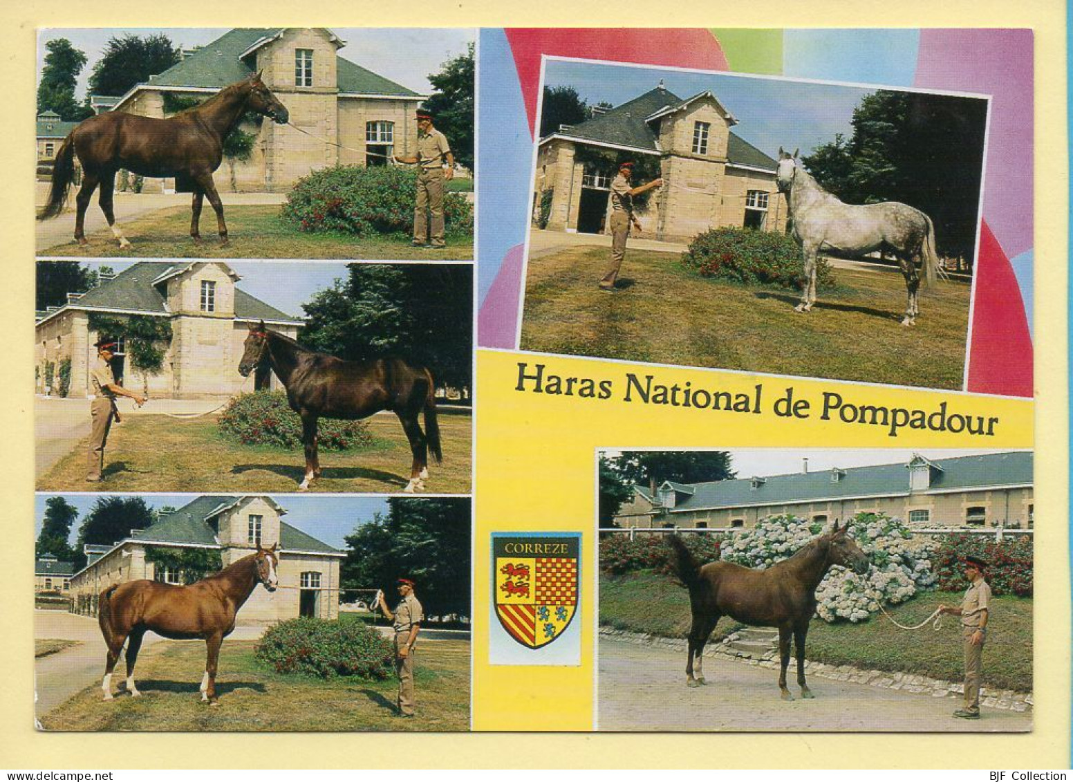 Chevaux : Haras National De Pompadour / Multivues / Blason (voir Scan Recto/verso) - Pferde