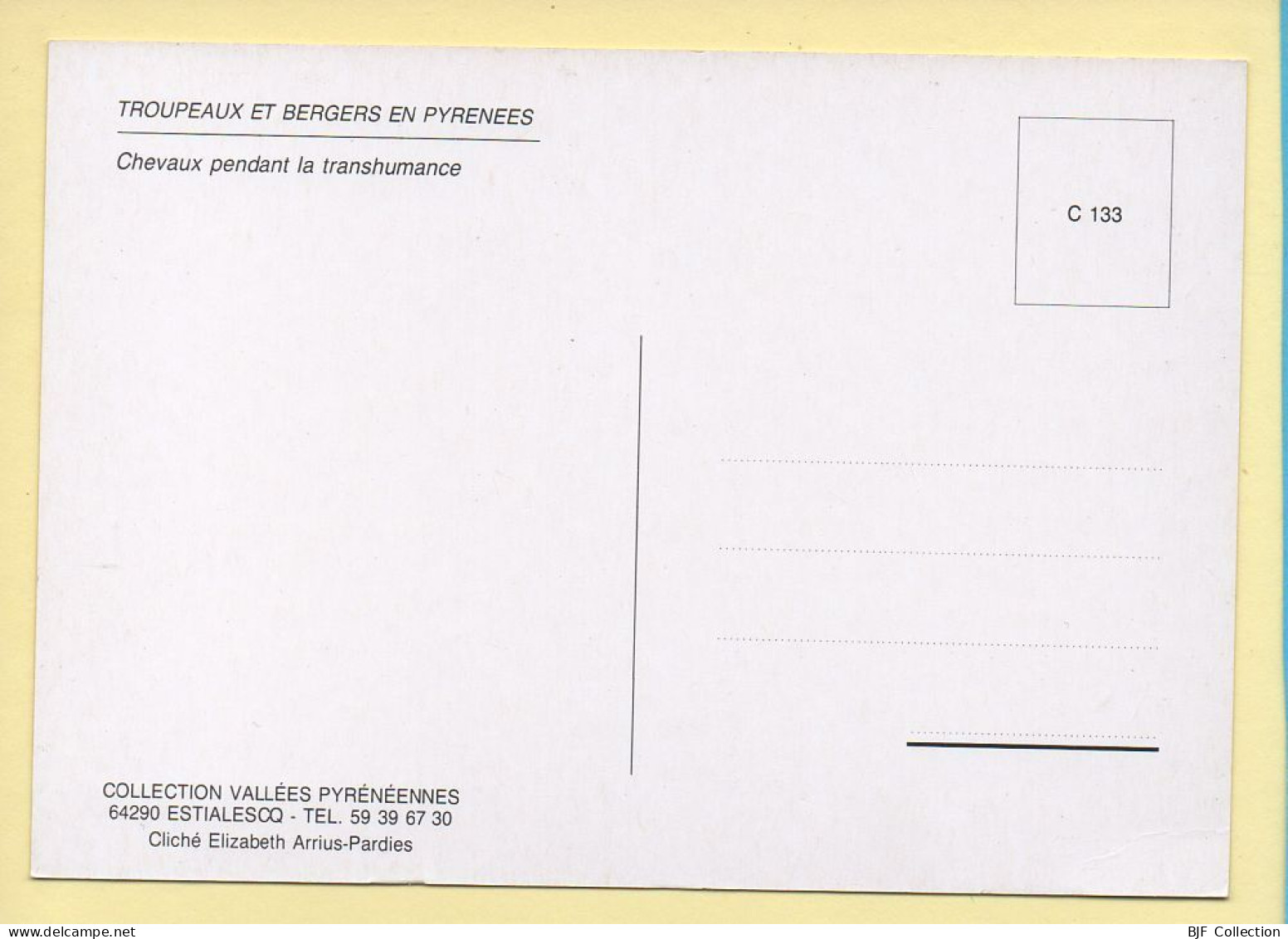 Chevaux : Chevaux Pendant La Transhumance (voir Scan Recto/verso) - Cavalli