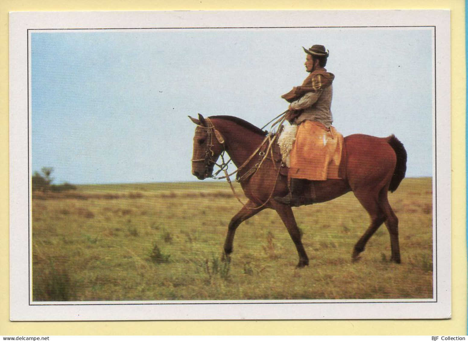 Chevaux : Cavalier En Uruguay (voir Scan Recto/verso) - Horses