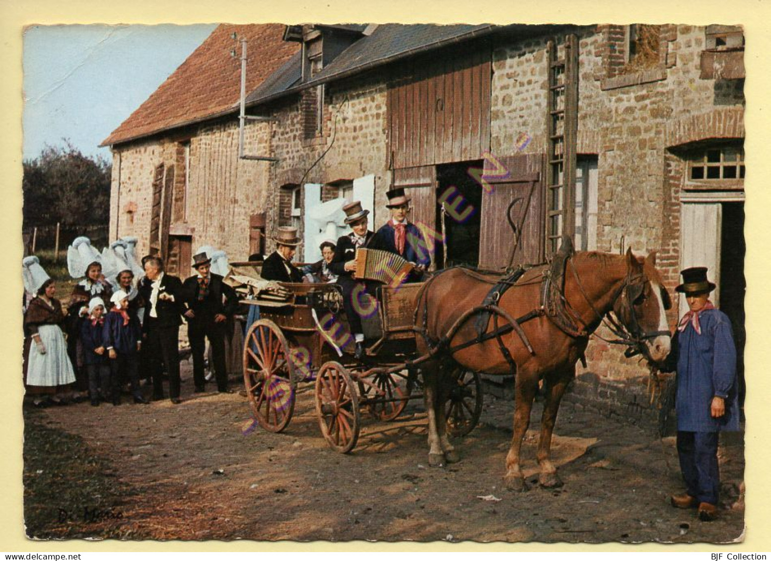 Chevaux : Attelage / Noce Normande (voir Scan Recto/verso) - Chevaux