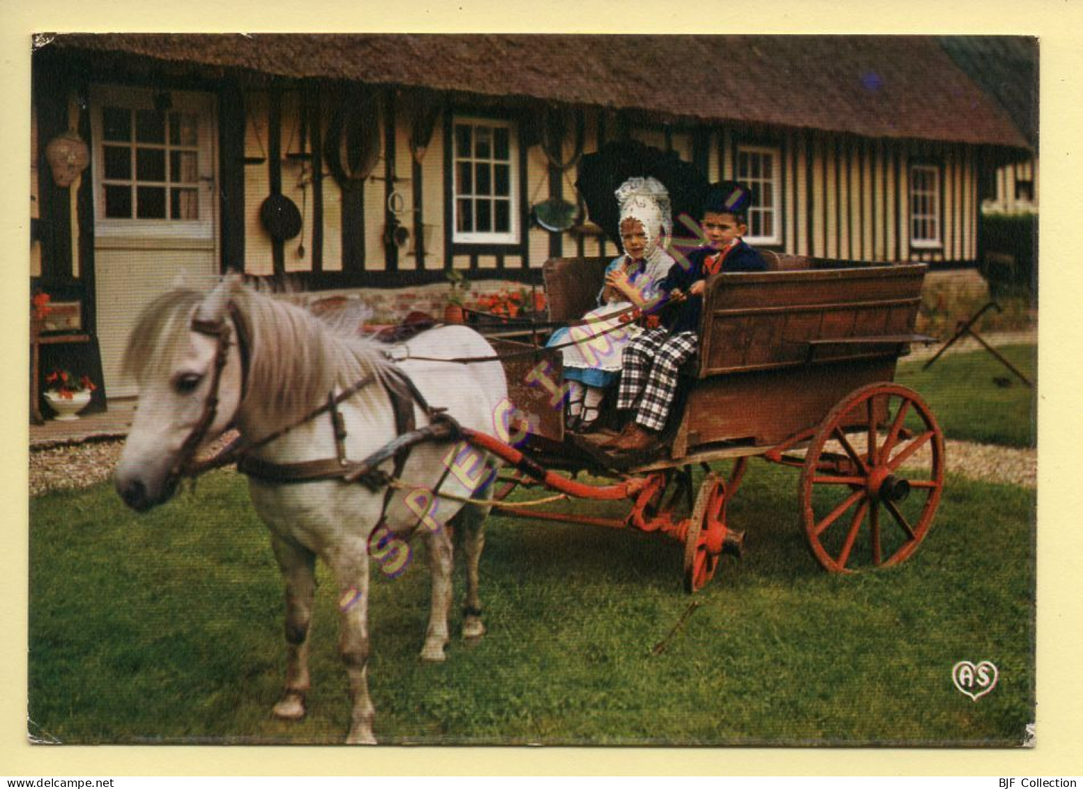 Chevaux : Attelage / Enfants En Costumes De Normandie (voir Scan Recto/verso) - Cavalli