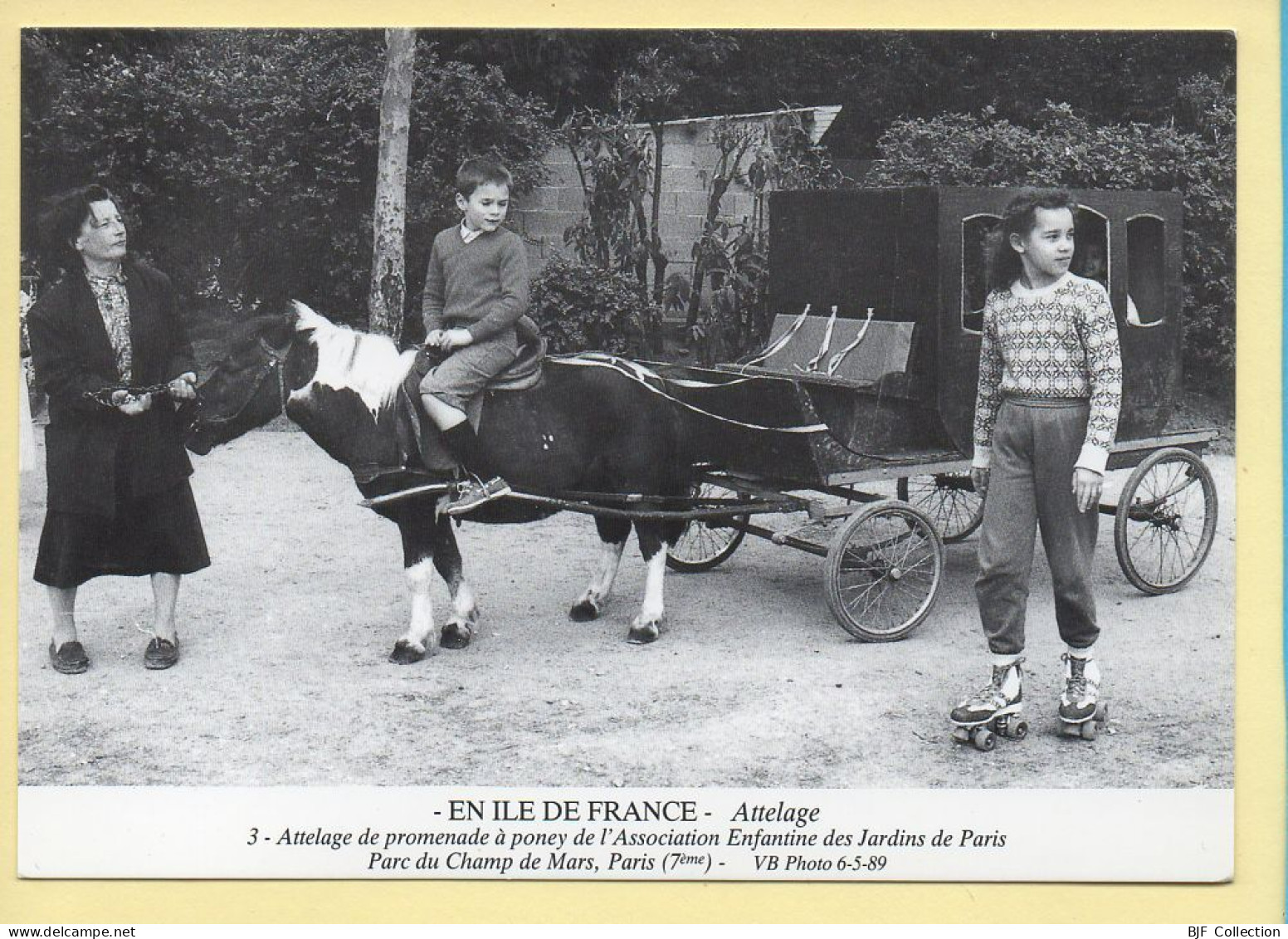 Chevaux : Attelage De Poney Promenade De L'association Enfantine Des Jardins De Paris / Champs De Mars - Paarden