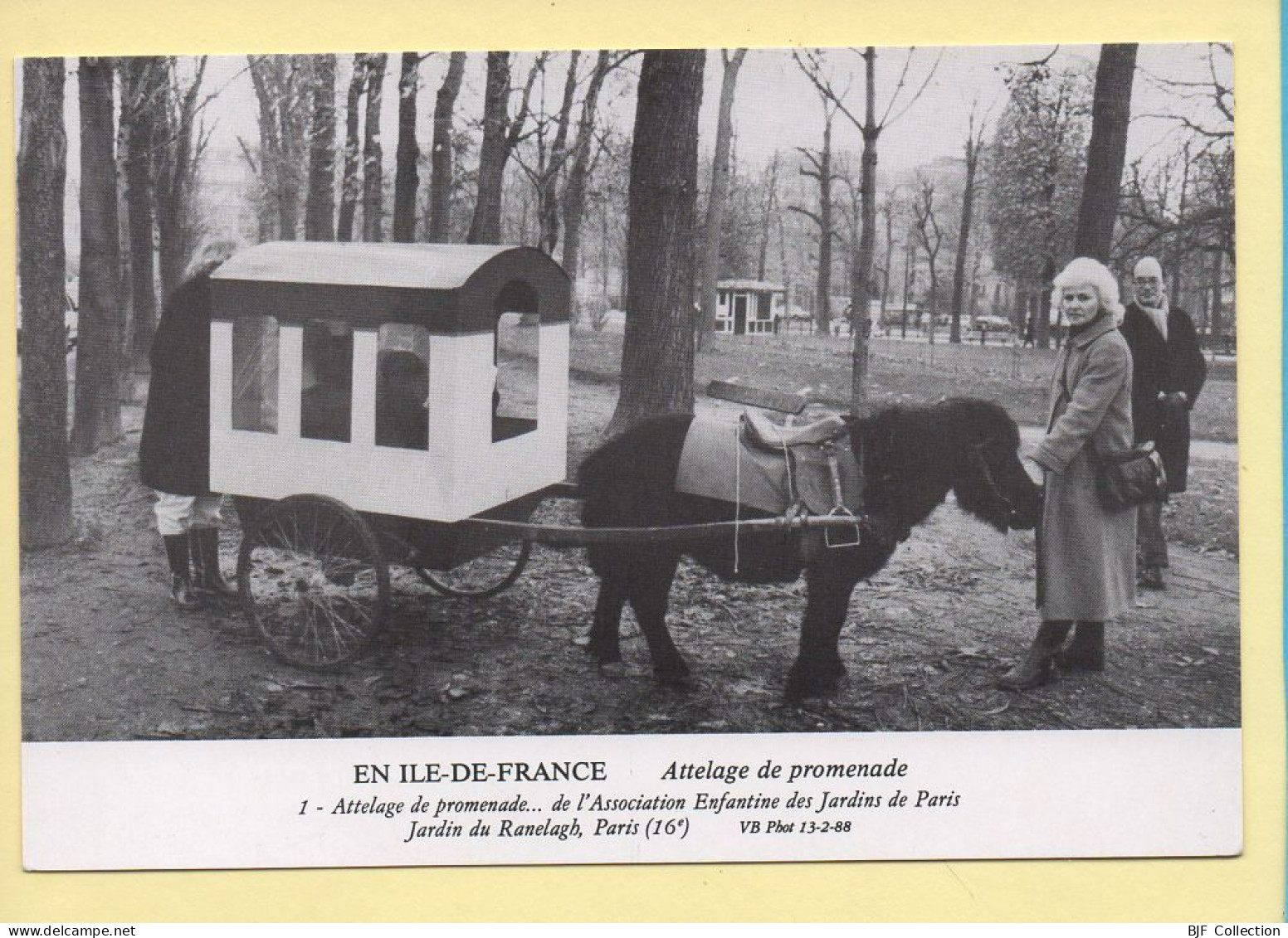 Chevaux : Attelage De Promenade De L'association Enfantine Des Jardins De Paris / Jardins Du Ranelagh - Caballos