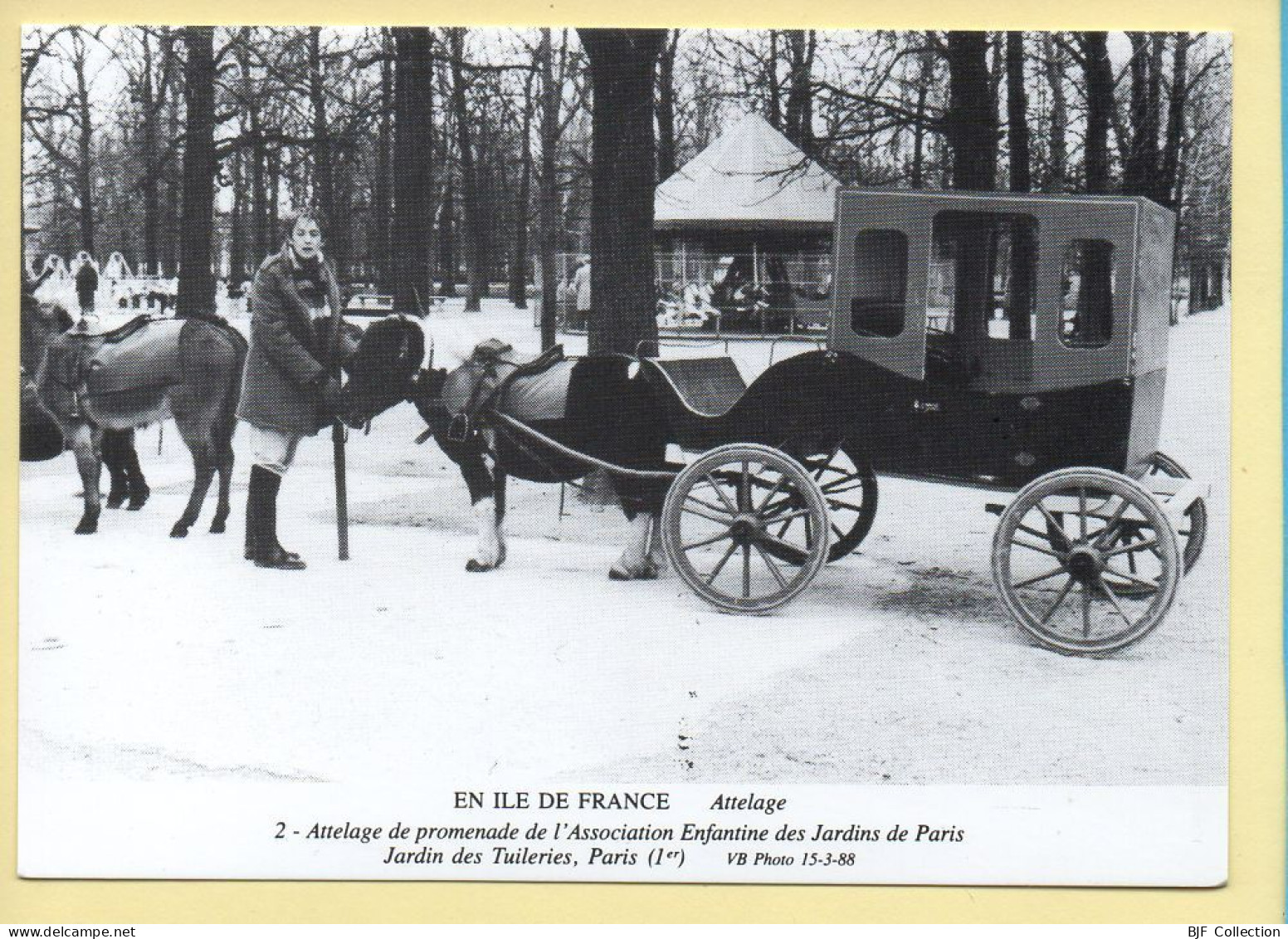 Chevaux : Attelage De Promenade De L'association Enfantine Des Jardins De Paris / Jardins Des Tuileries - Cavalli