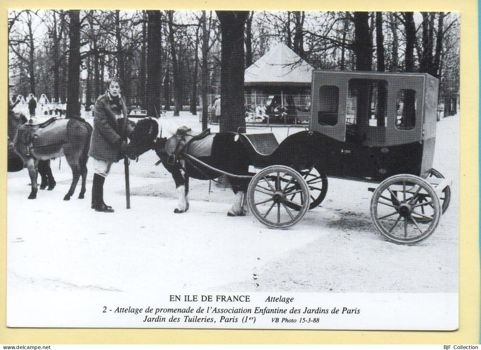 Chevaux : Attelage De Promenade De L'association Enfantine Des Jardins De Paris / Jardins Des Tuileries - Paarden