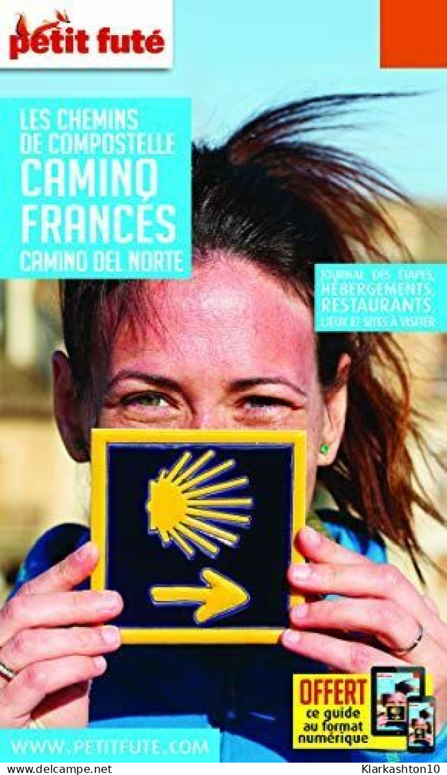 Guide Chemins De Compostelle - Camino Frances 2020 Petit Futé - Other & Unclassified