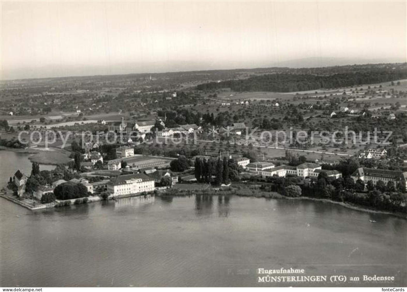 13525993 Muensterlingen Bodensee Fliegeraufnahme Muensterlingen Bodensee - Sonstige & Ohne Zuordnung