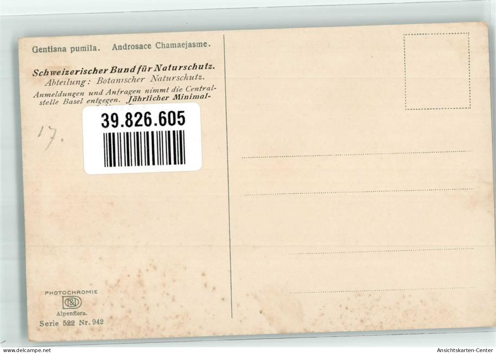 39826605 - Zwerg Enzian Und Bewimperter Mannsschild Photochromie Serie 522 Nr.942 Schweizerischer Bund Fuer Naturschut - Otros & Sin Clasificación