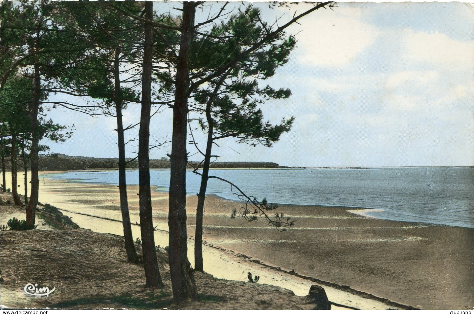 CPSM - RONCE-LES-BAINS - ECHAPPEE SUR L'OCEAN - Autres & Non Classés