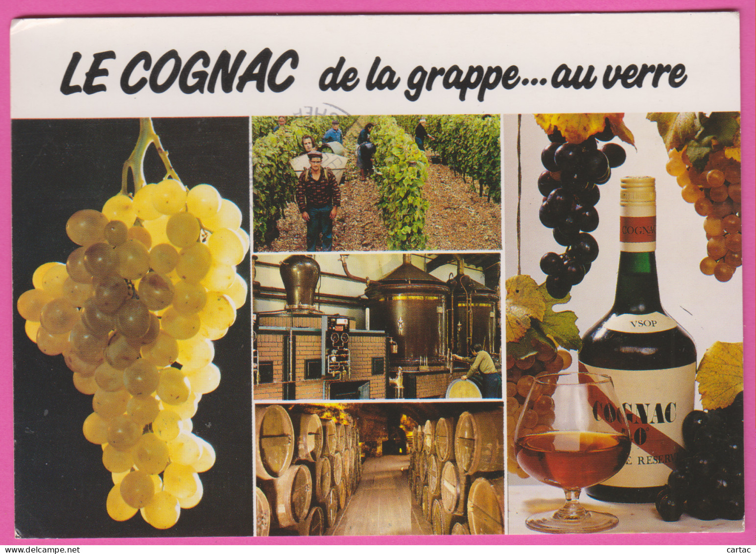 D16 - EN CHARENTE - LES VENDANGES - UN CHAIS - UNE DISTILLERIE - LE COGNAC DE LA GRAPPE...AU VERRE - CPM Grand Format   - Cognac