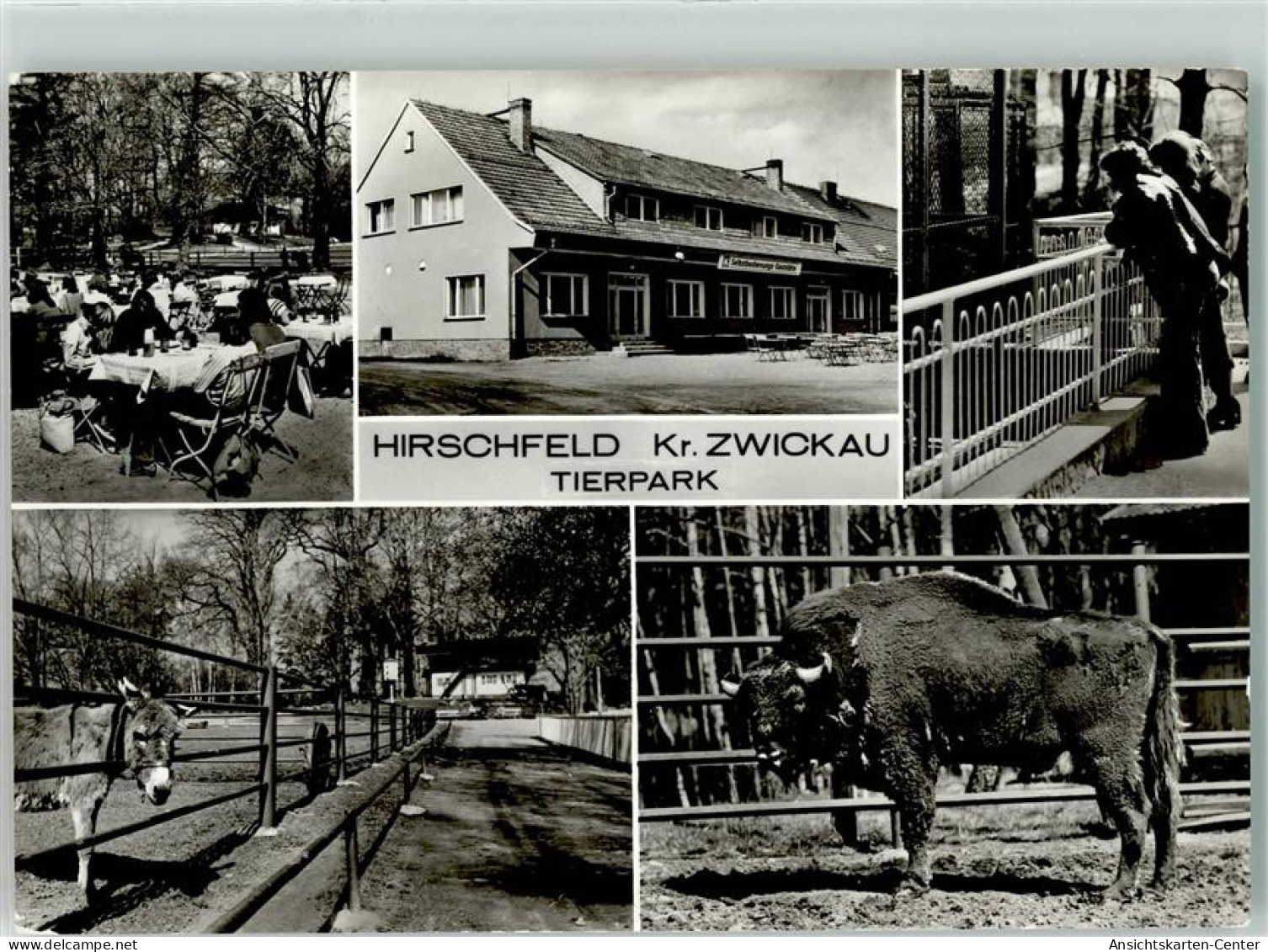 39241305 - Hirschfeld B Zwickau - Crinitzberg