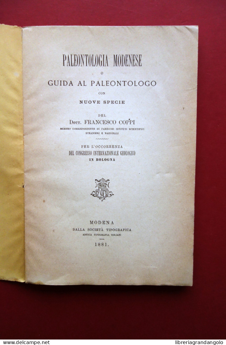 Paleontologia Modenese O Guida Al Paleontologo Francesco Coppi Modena 1881 Raro - Ohne Zuordnung