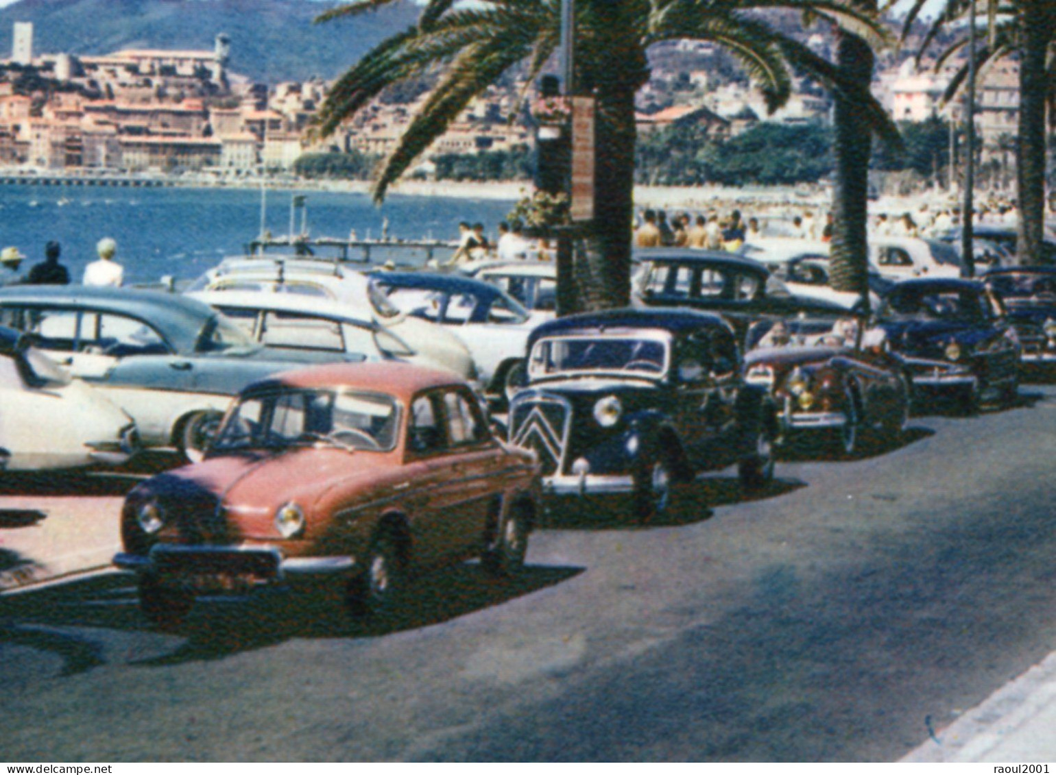 Autos Voitures Automobiles Cars - CANNES - Renault Dauphine - Citroën Traction - Cabriolet Jaguar XK 140 - DS - Simca - Voitures De Tourisme