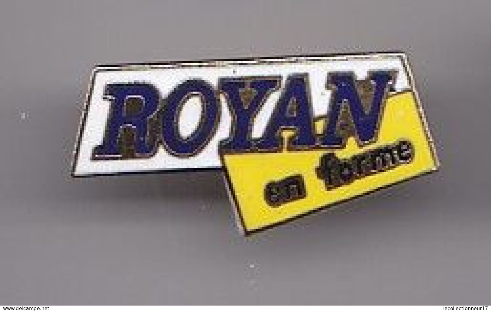 Pin's Royan En Forme  En Charente Maritime Dpt 17  Réf 2419 - Städte