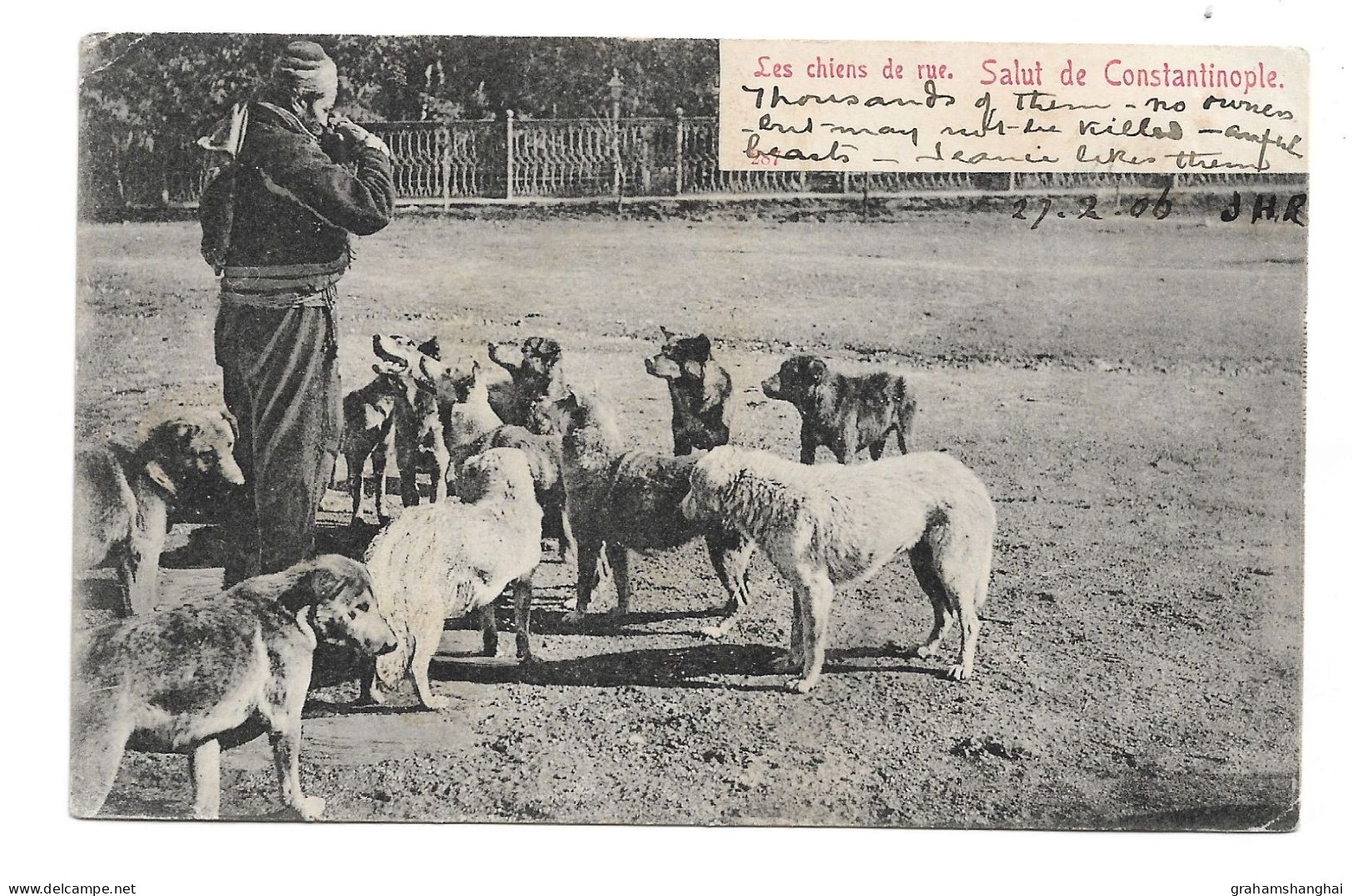 Postcard Turkey Salut De Constantinople Les Chiens De Rue Stray Street Dogs Posted 1906 French Levant Stamp Undivided - Turkije