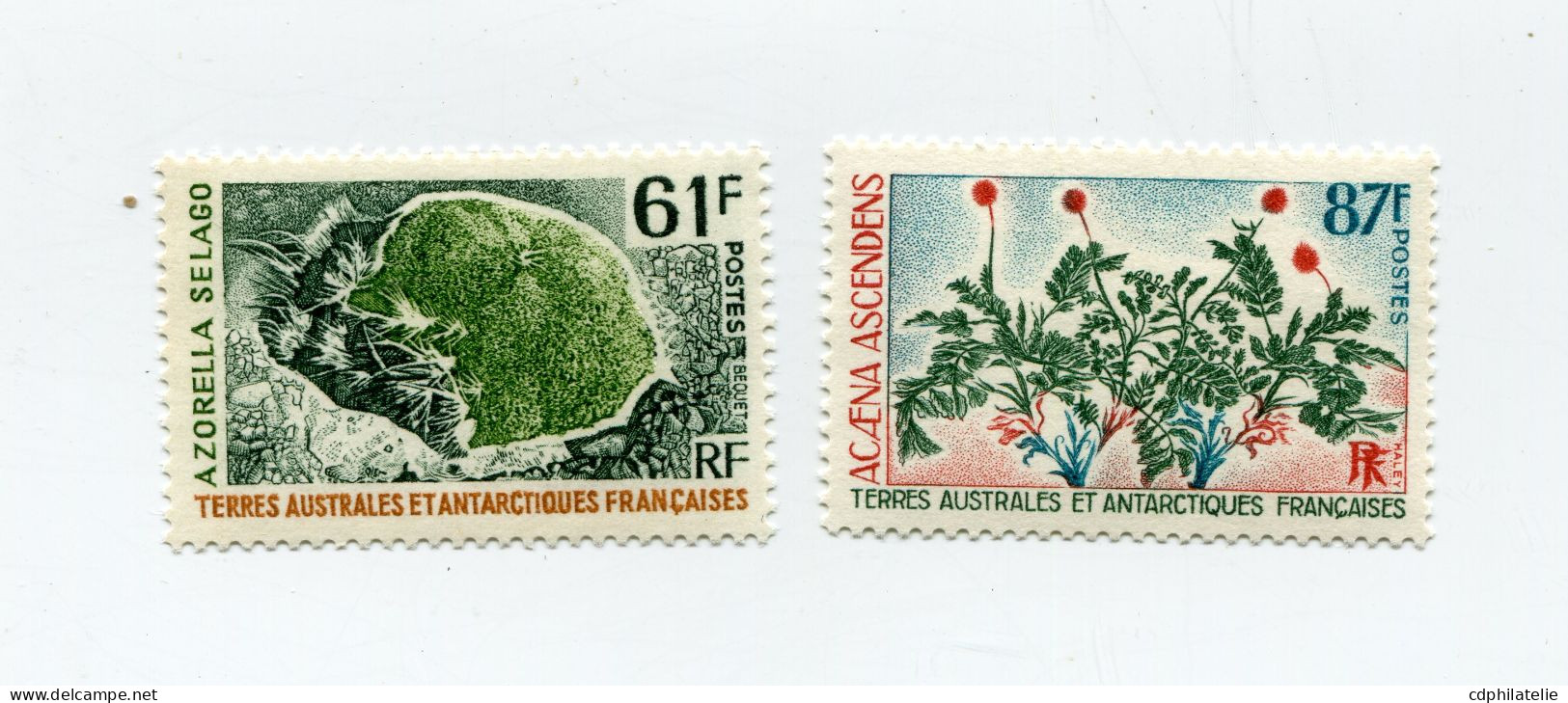 T. A. A. F. N°52 / 53 **  FLORE - Unused Stamps