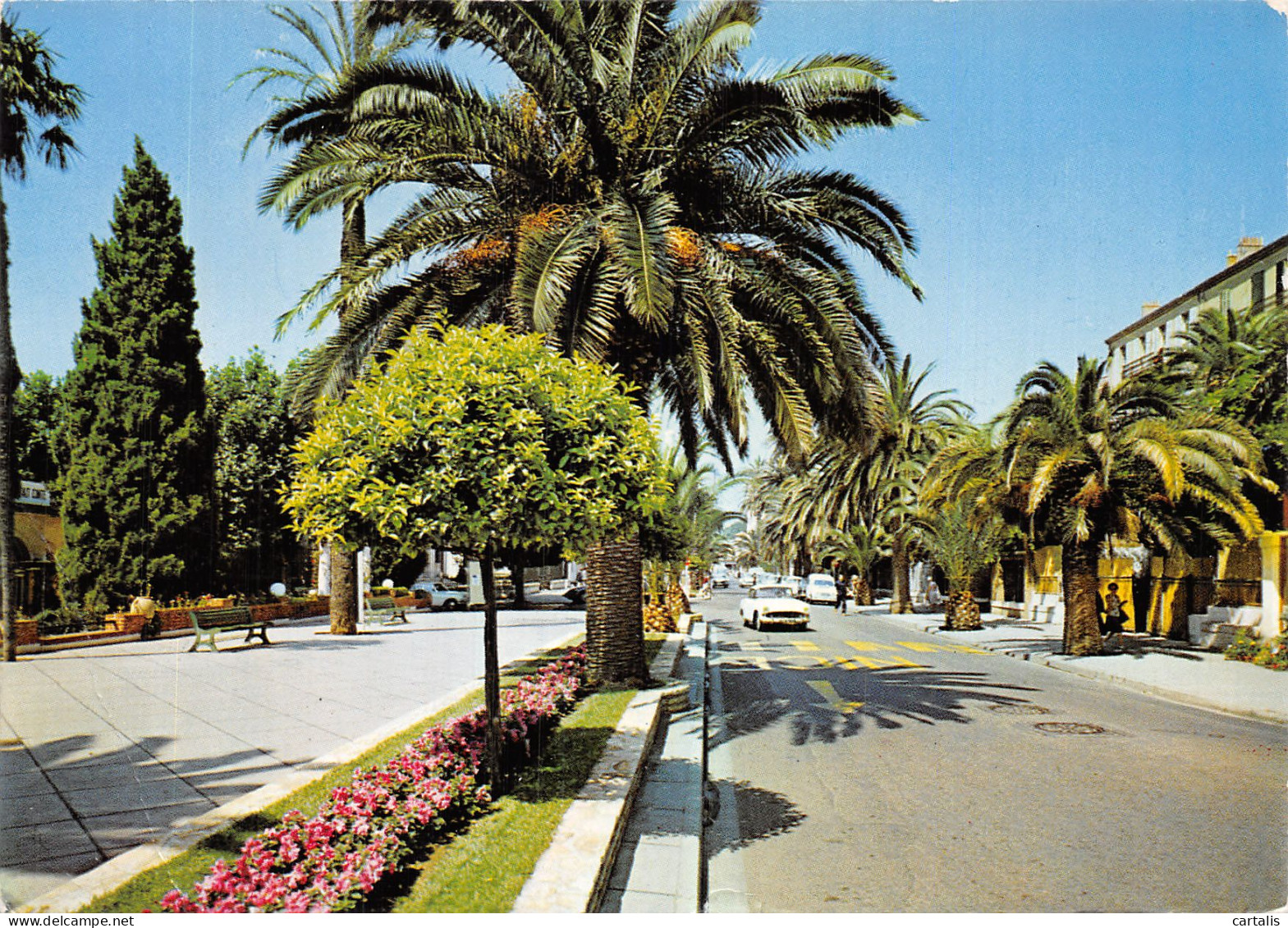 83-HYERES LES PALMIERS-N° 4404-B/0081 - Hyeres