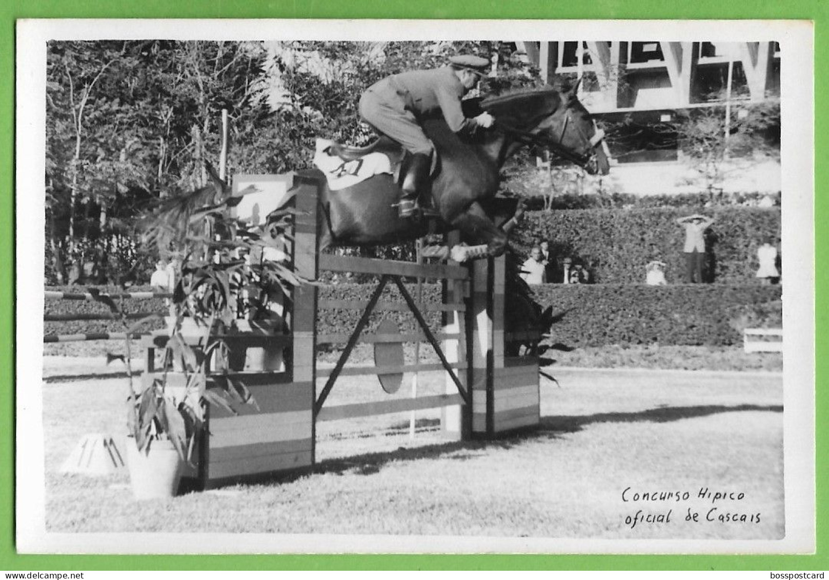 Cascais - Concurso Hípico Em 1965 - Portugal (Fotográfico) - Lisboa