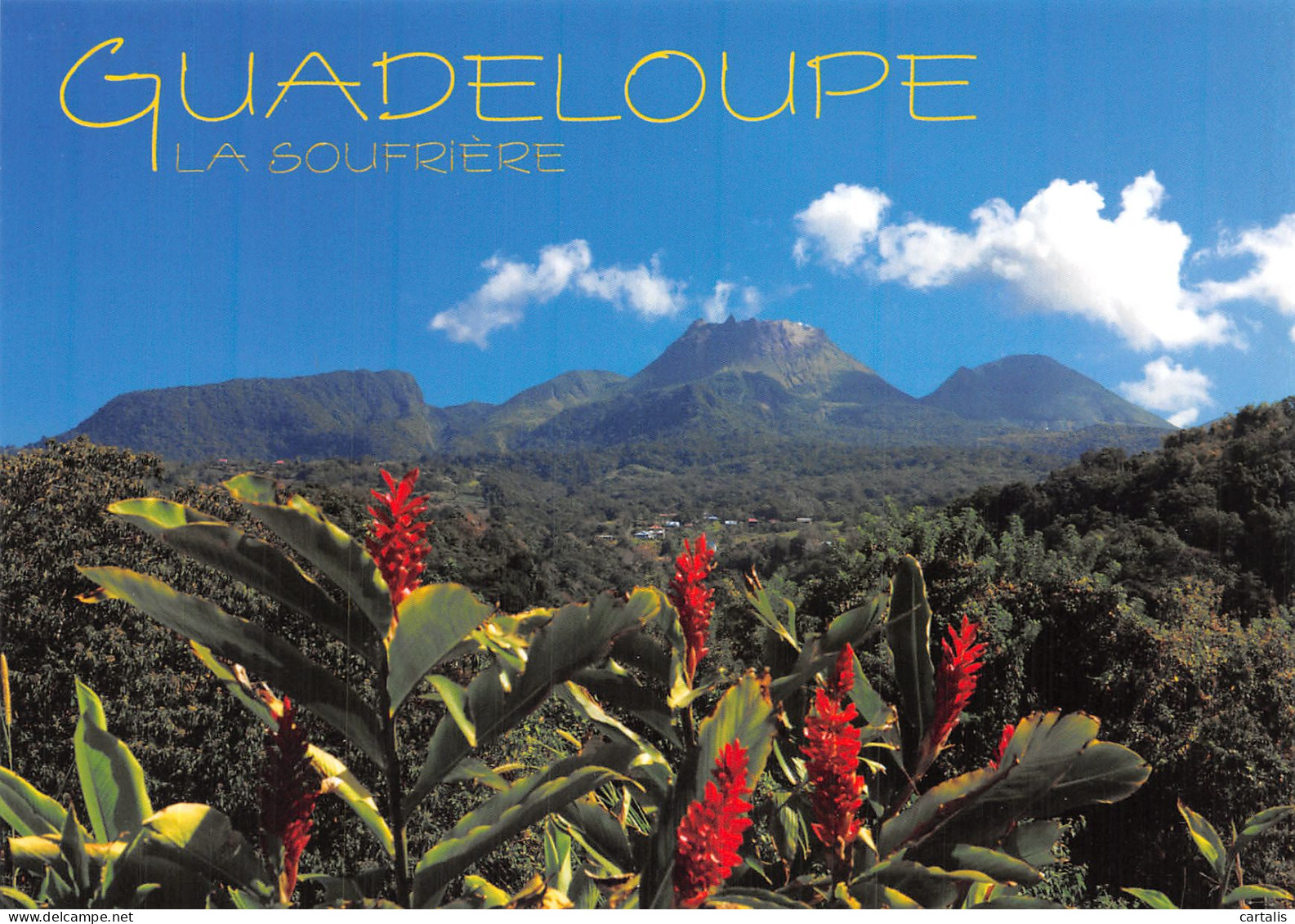 971-GUADELOUPE-N° 4405-A/0049 - Other & Unclassified