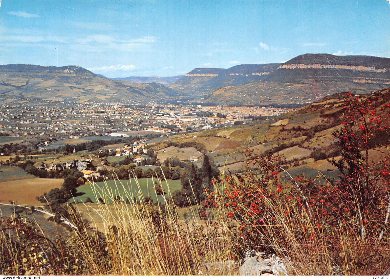 12-MILLAU-N° 4404-D/0185 - Millau