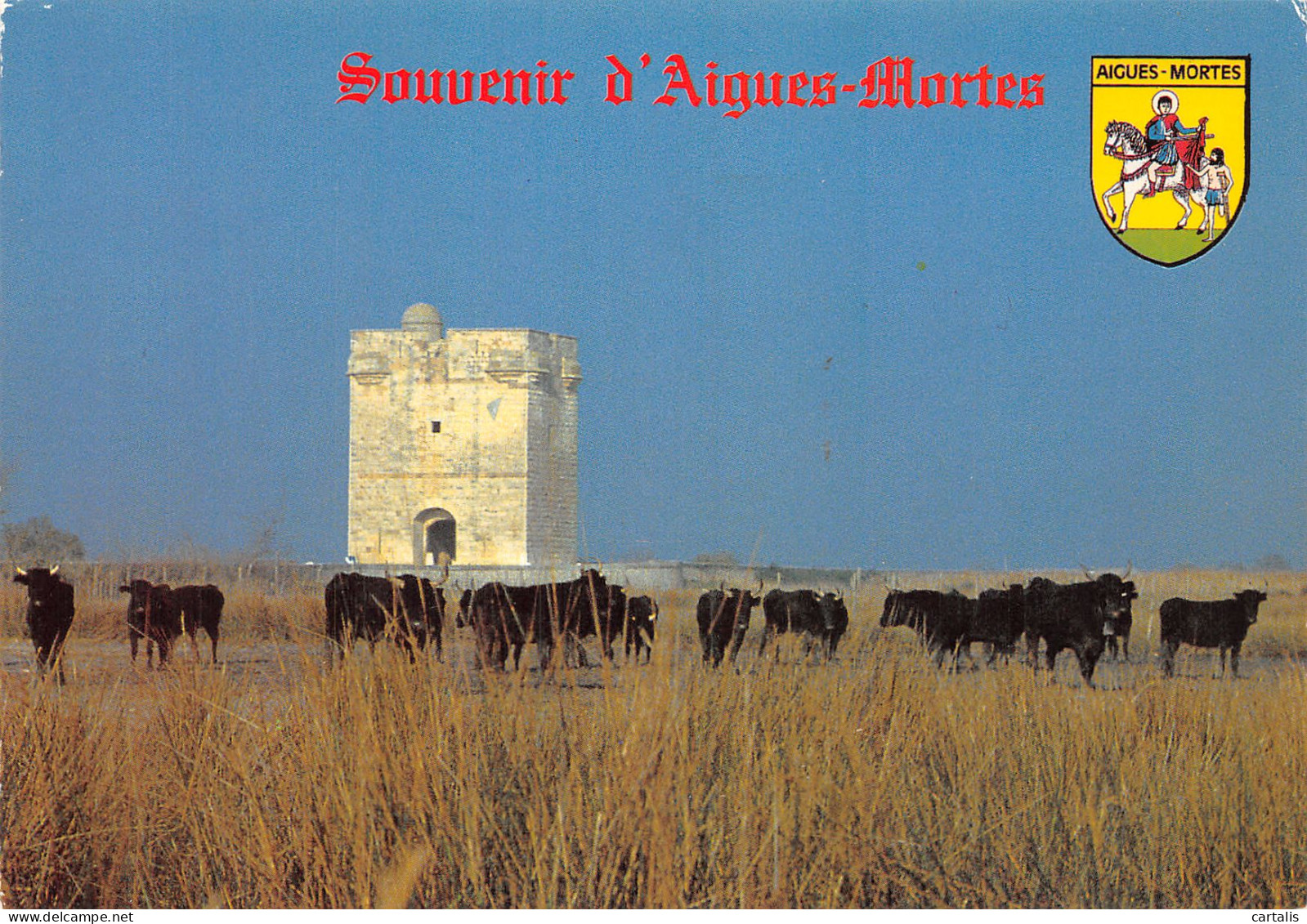 30-AIGUES MORTES-N° 4404-D/0043 - Aigues-Mortes