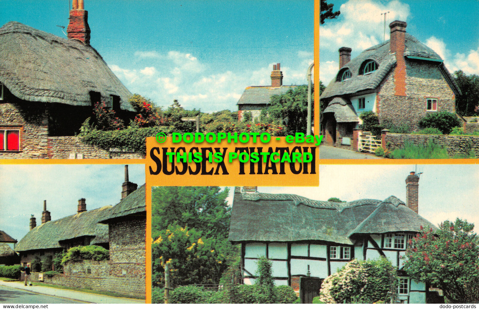 R520240 Sussex Thatch. Precision. Colourmaster International. PLX3145. Multi Vie - Welt