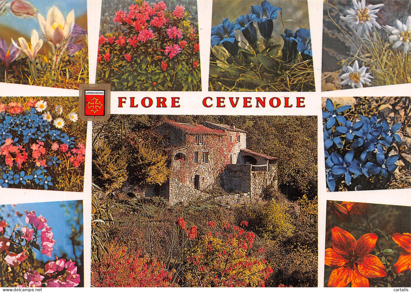 48-FLORE CEVENOLE-N° 4405-B/0291 - Autres & Non Classés