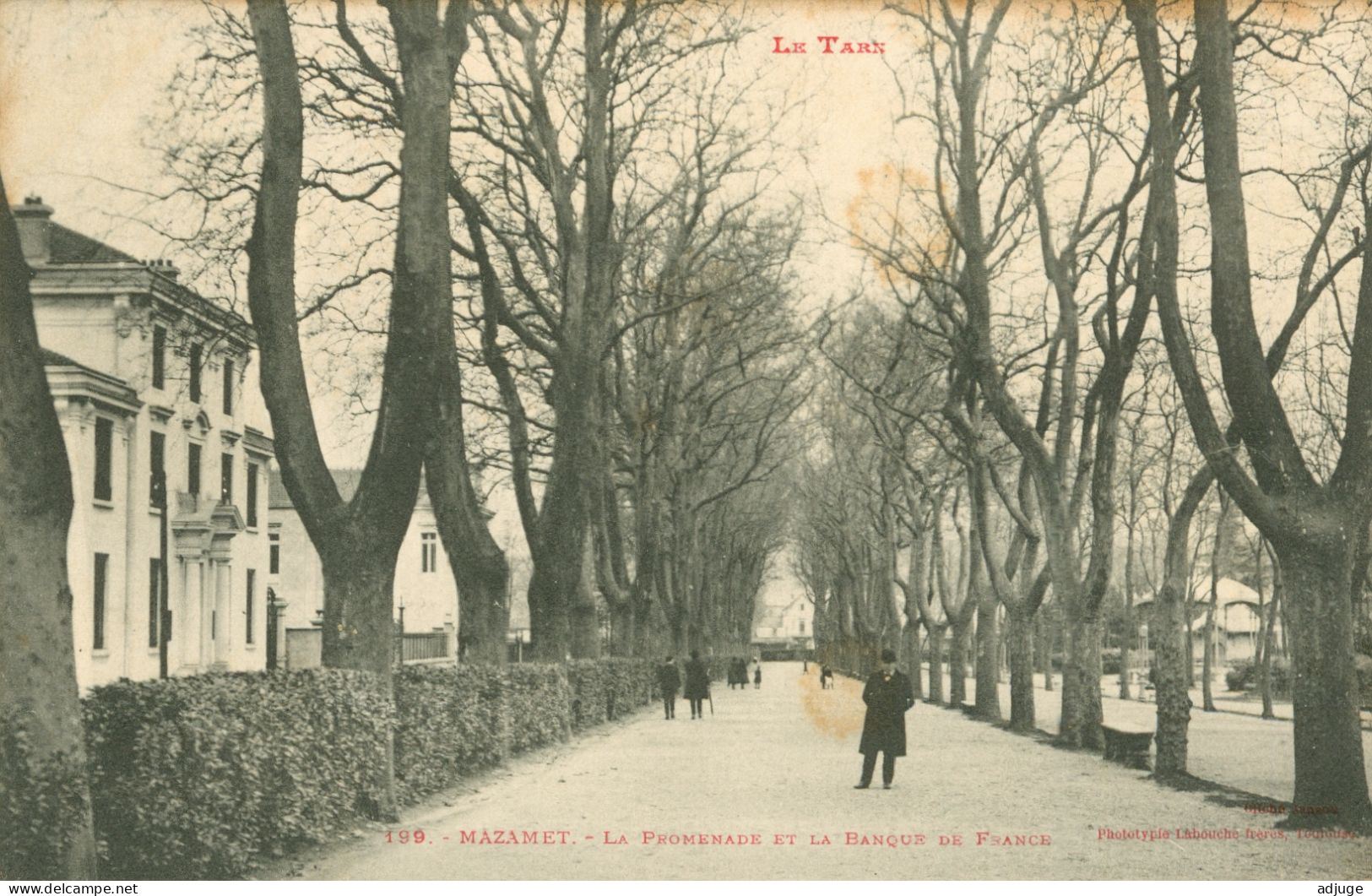 CPA- MAZAMET- La Promenade Et La Banque De France - Phototypie Labouche N° 199* TàD 1905**TBE - Mazamet