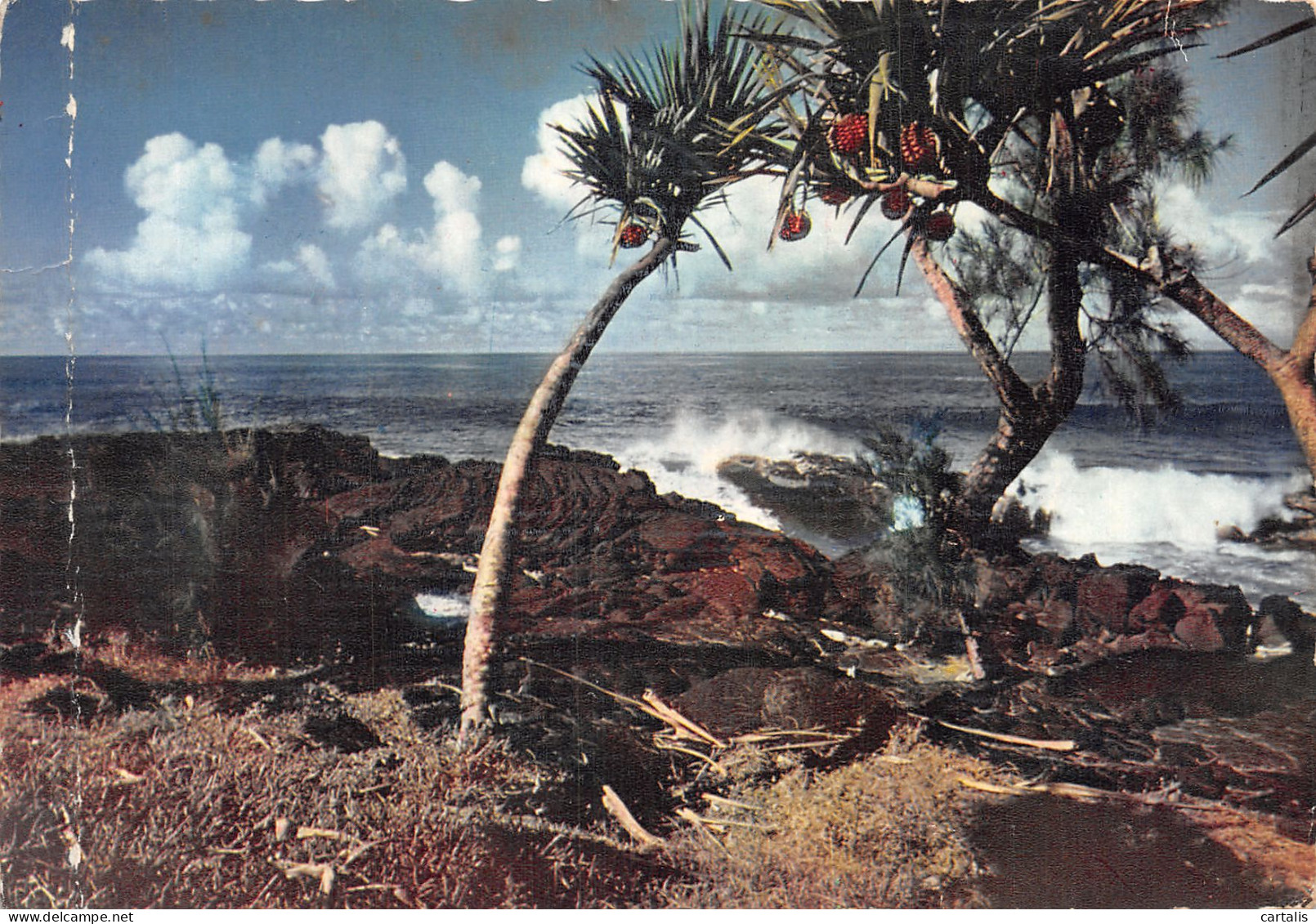 974-ILE DE LA REUNION-N° 4406-A/0089 - Altri & Non Classificati