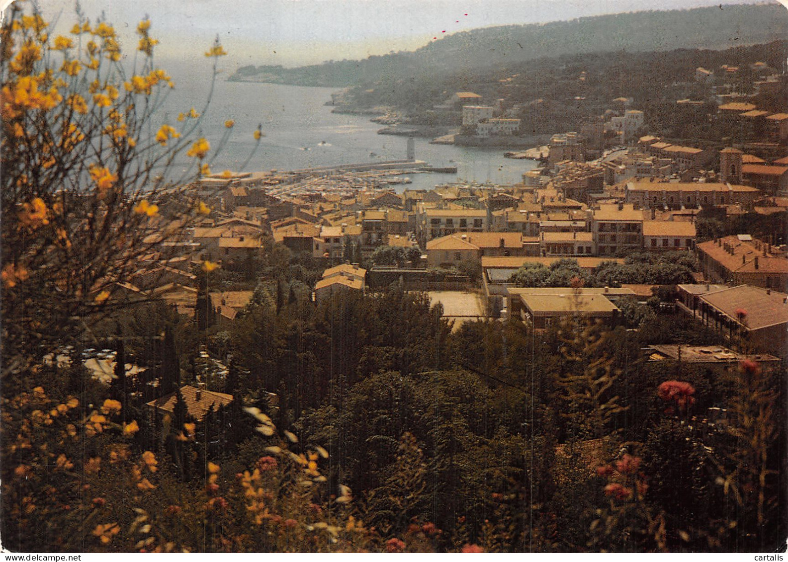 13-CASSIS-N° 4405-D/0297 - Cassis